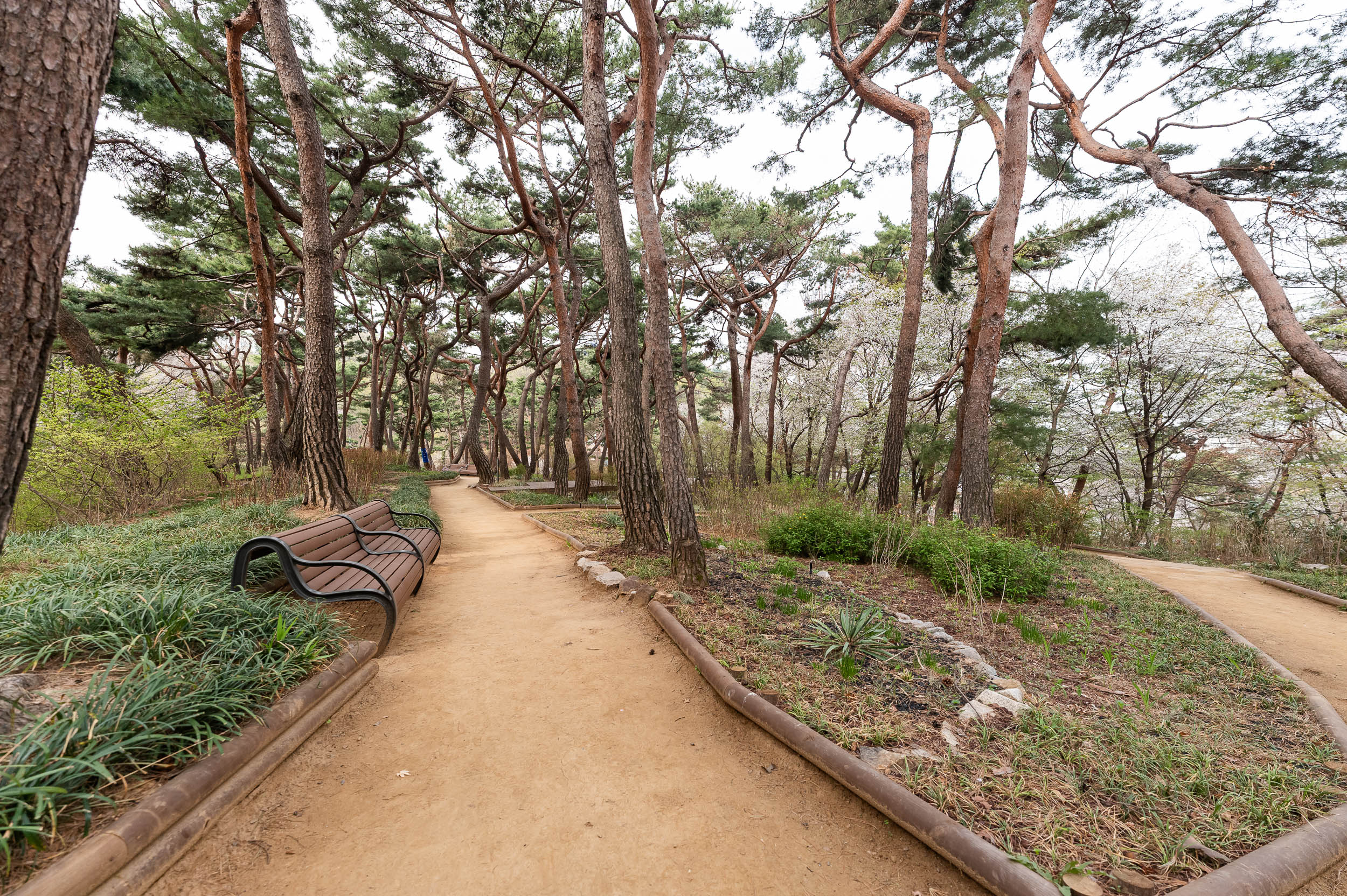 20250412-산불 예방 캠페인 20250412-49408_L_1_101411.jpg