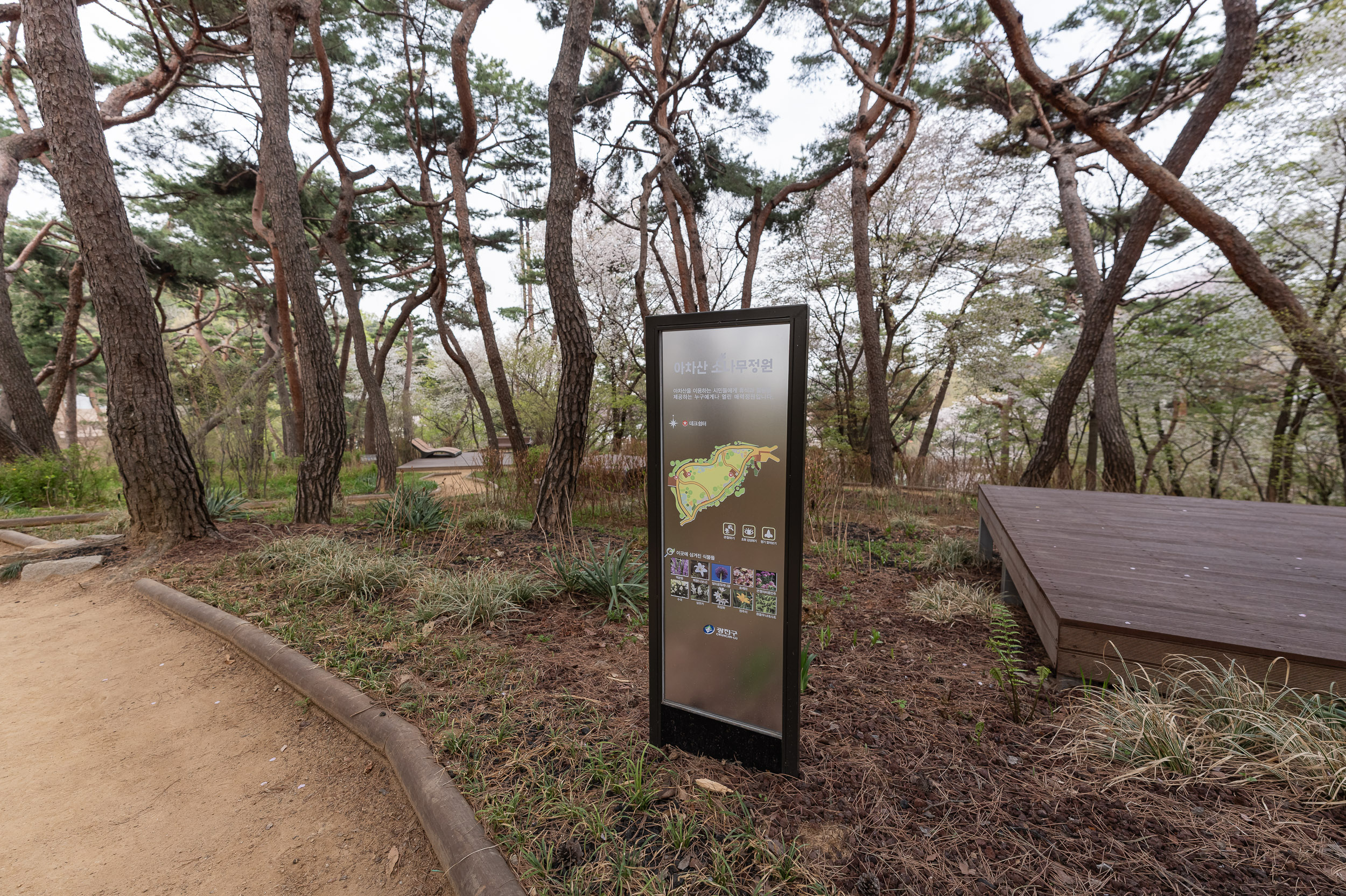 20250412-산불 예방 캠페인 20250412-49415_L_101411.jpg