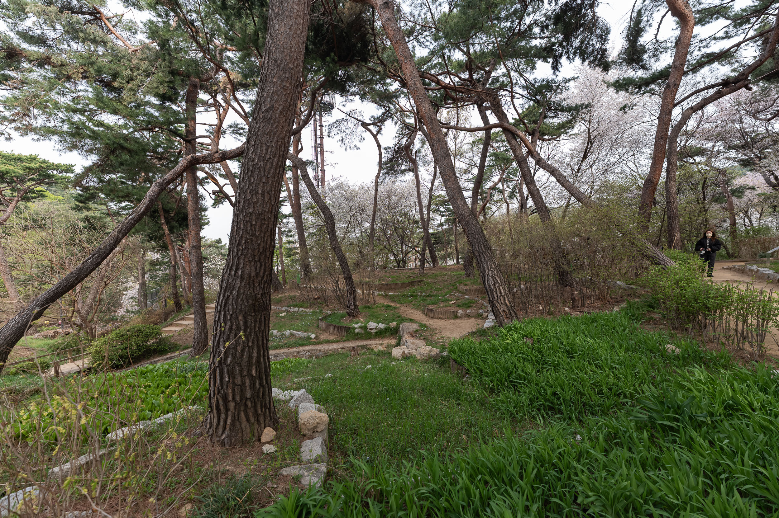 20250412-산불 예방 캠페인 20250412-49485_L_101413.jpg