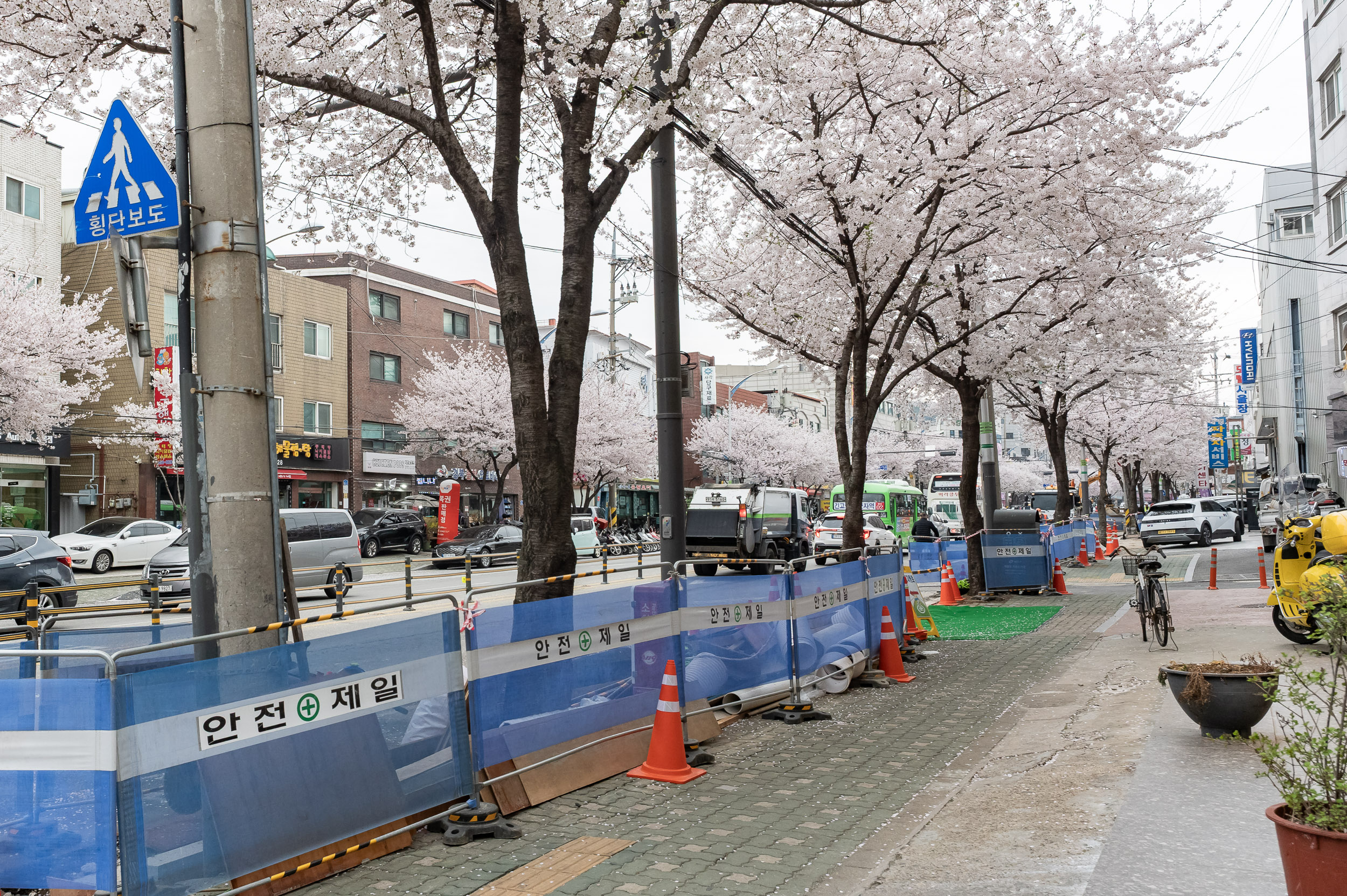 20250409-2025년 관내 도로굴착 복구공사(중곡2동 긴고랑로) 20250409-47471_L_163156.jpg