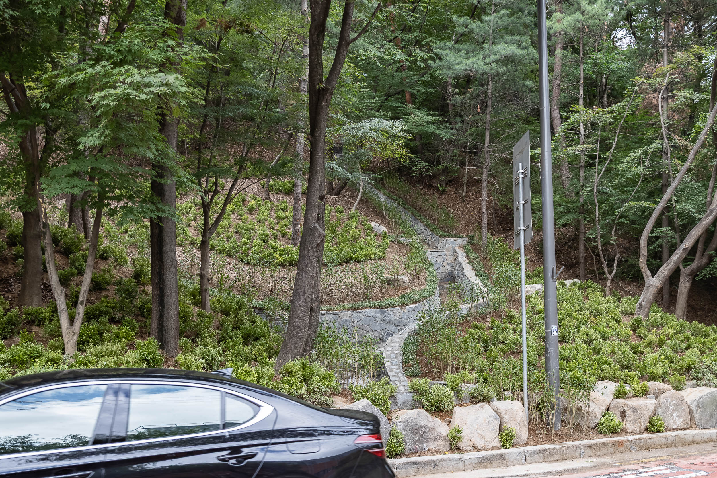 20250701-풍수해 대비 현장점검 20250701-119927_L_123432.jpg