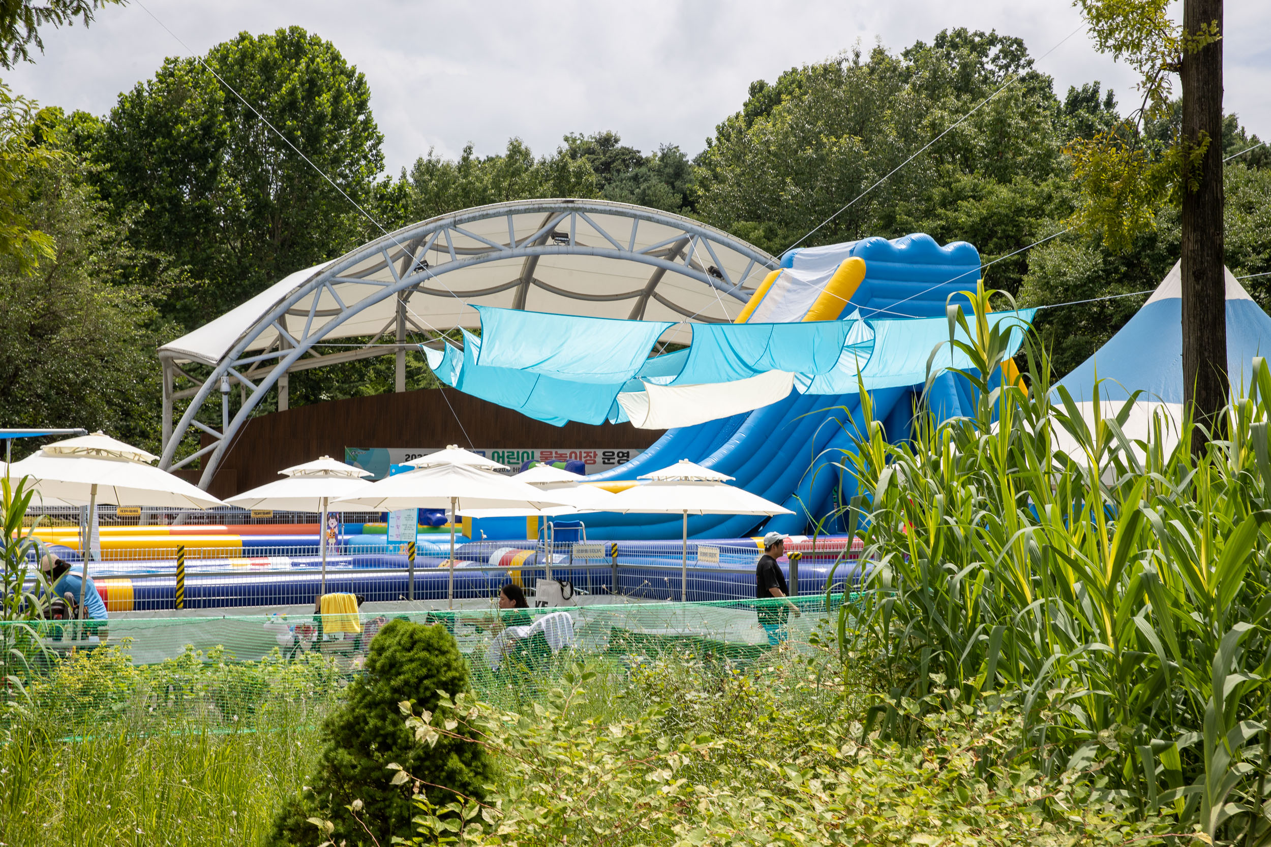 20250720-2025년 광진구 어린이 물놀이장 오픈 20250720-10292_L_175216.jpg