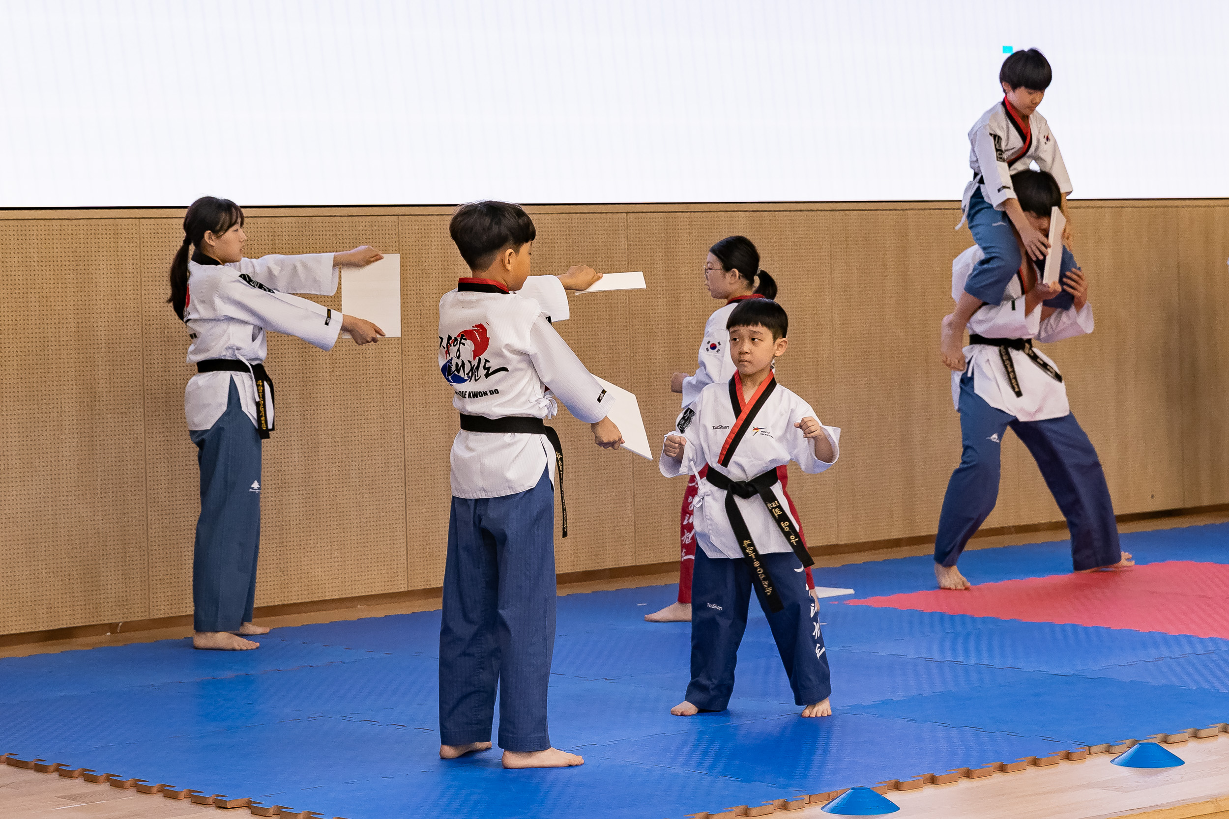 20250614-2025 광진구청장배 어울림보치아대회 20250614-108308_L_150259.jpg