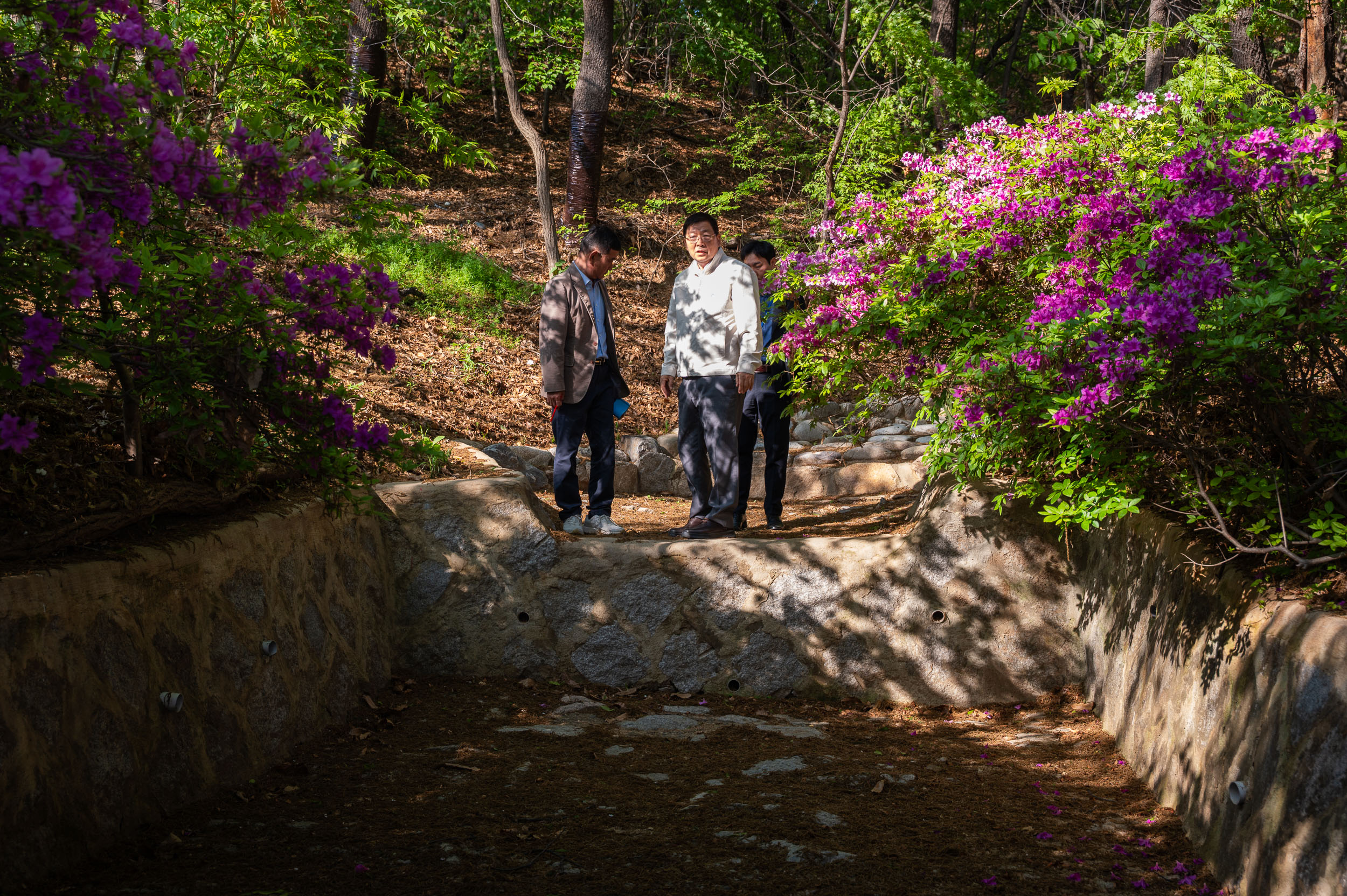 20250428-부처님 오신날 맞이 관내 사찰방문(능인정사, 용암사, 기원정사) 20250428-65202_L_161855.jpg