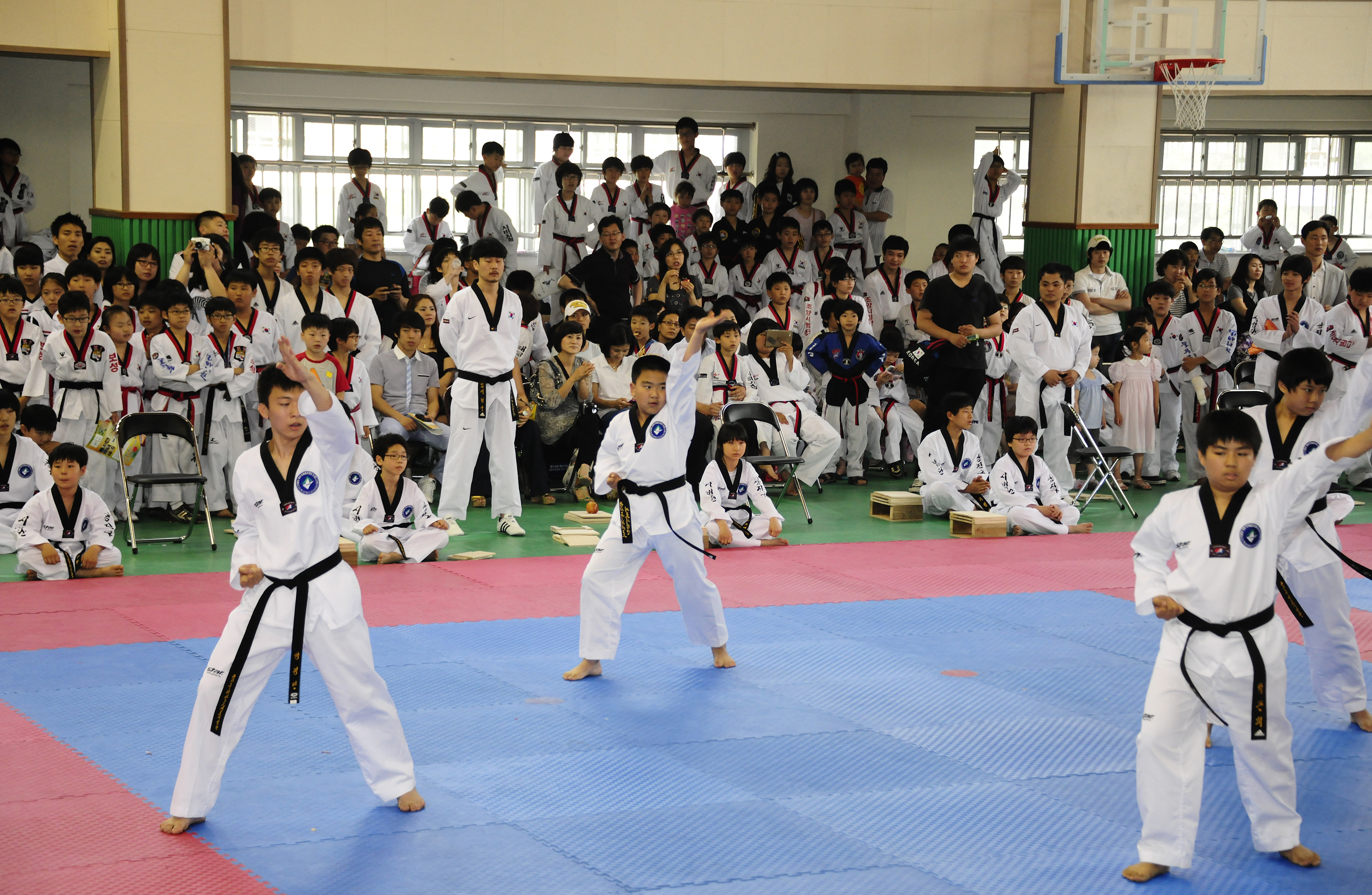 20110611-제16회 구청장기 태권도 대회 35781.JPG