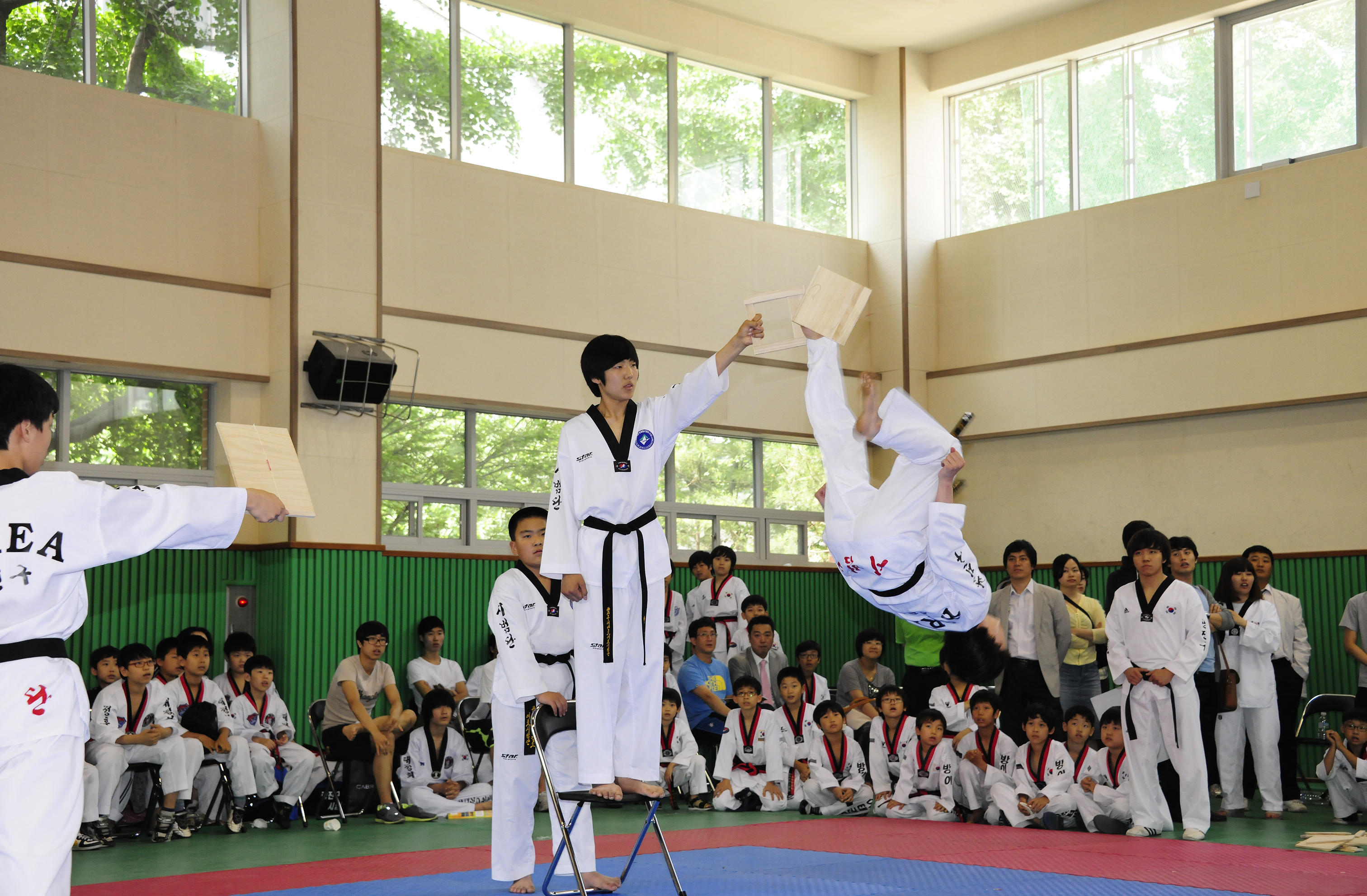 20110611-제16회 구청장기 태권도 대회 35787.JPG