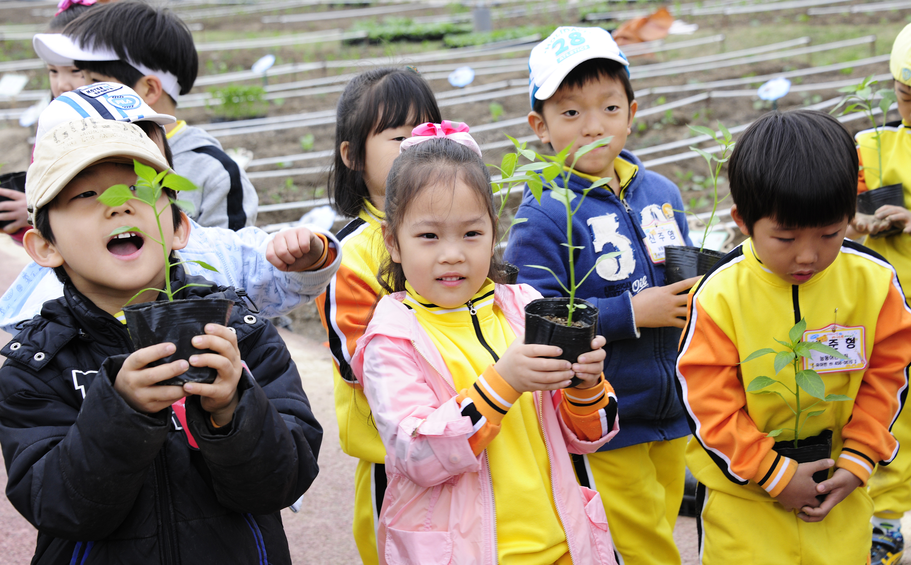 20110409-중량천 둔치 자연학습장 가꾸기 31920.JPG