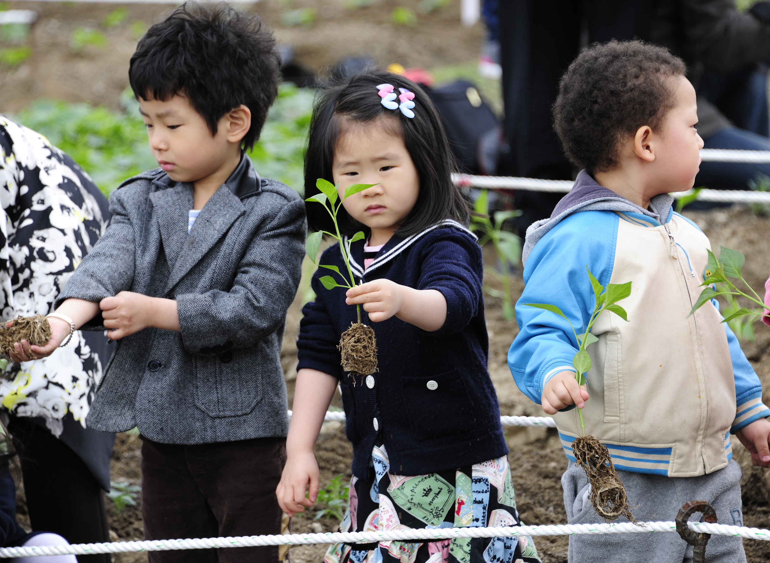 20110409-중량천 둔치 자연학습장 가꾸기 31902.JPG