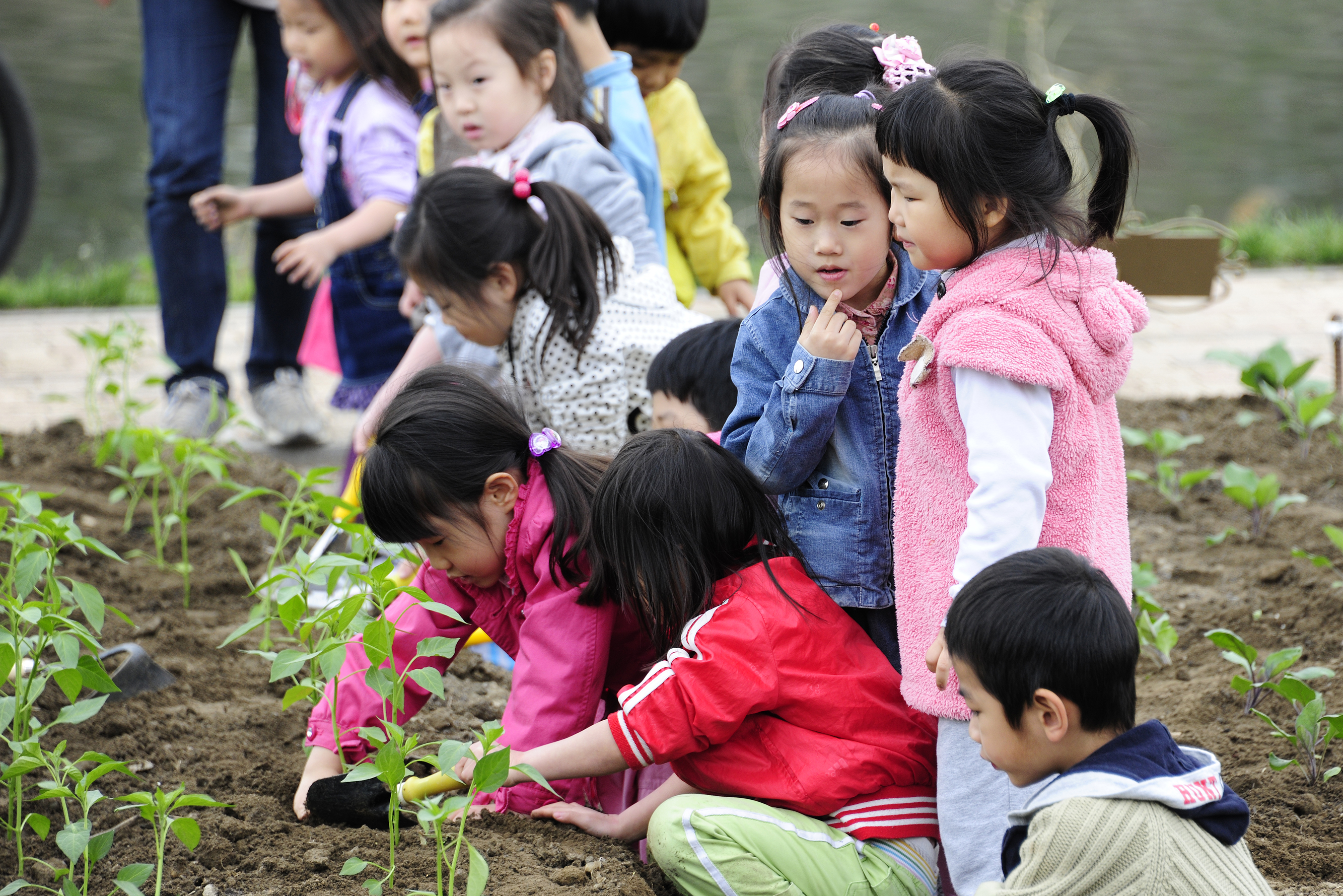 20110409-중량천 둔치 자연학습장 가꾸기 31907.JPG