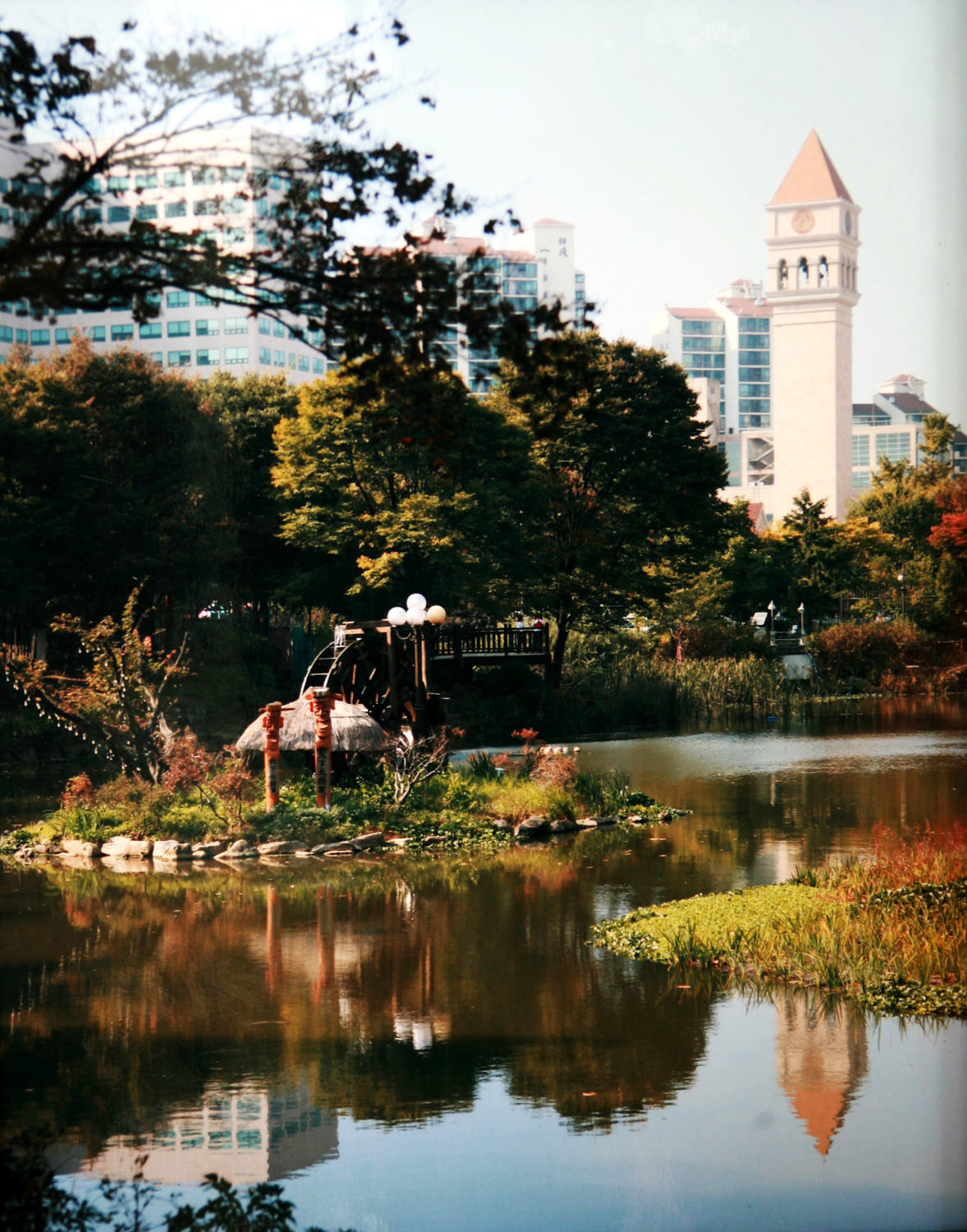 2006년 환경사진콘테스트 입상자 시상식 I00000006512.JPG