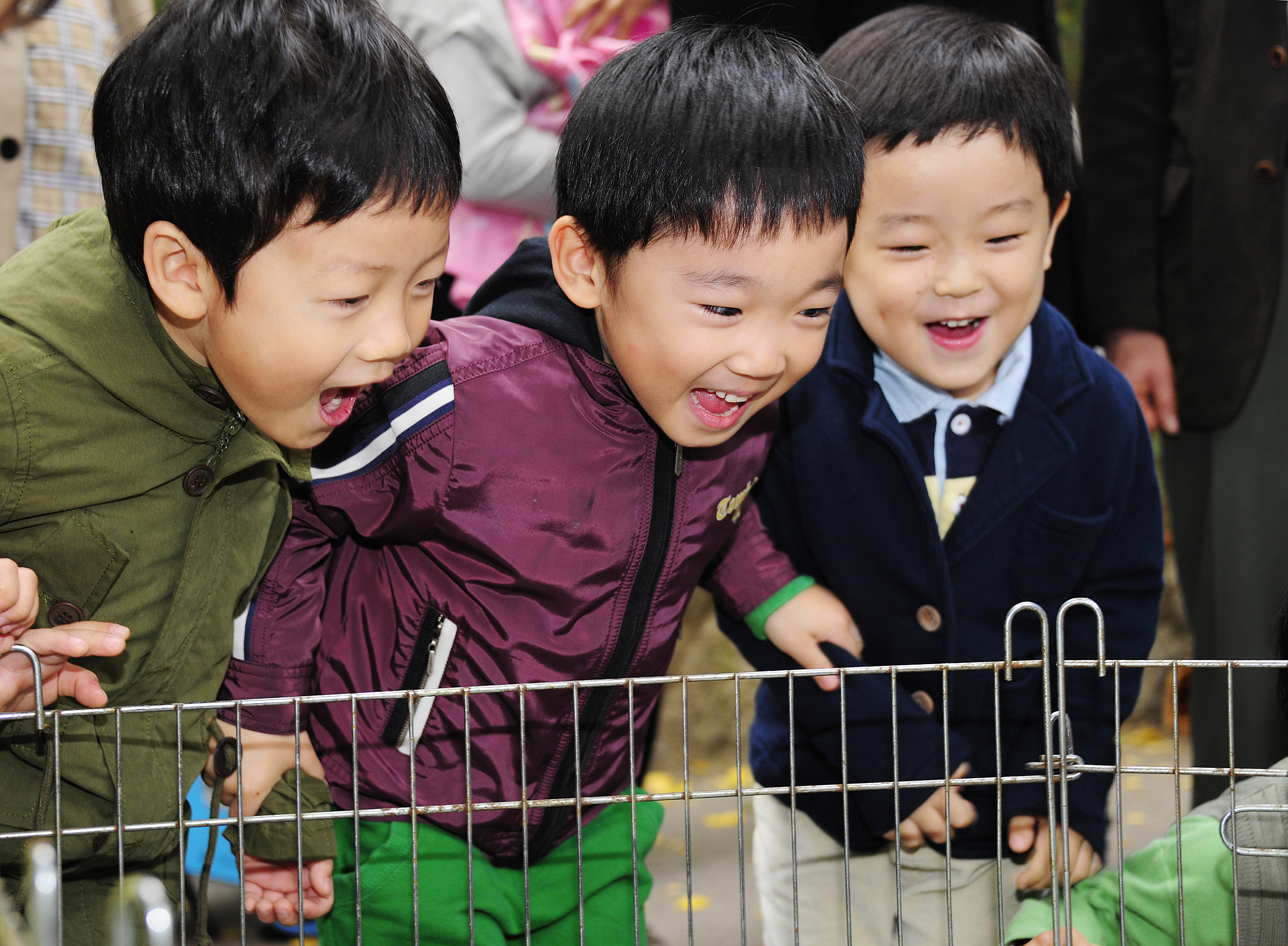 20111104-유기동물과 만남의 날 42894.JPG