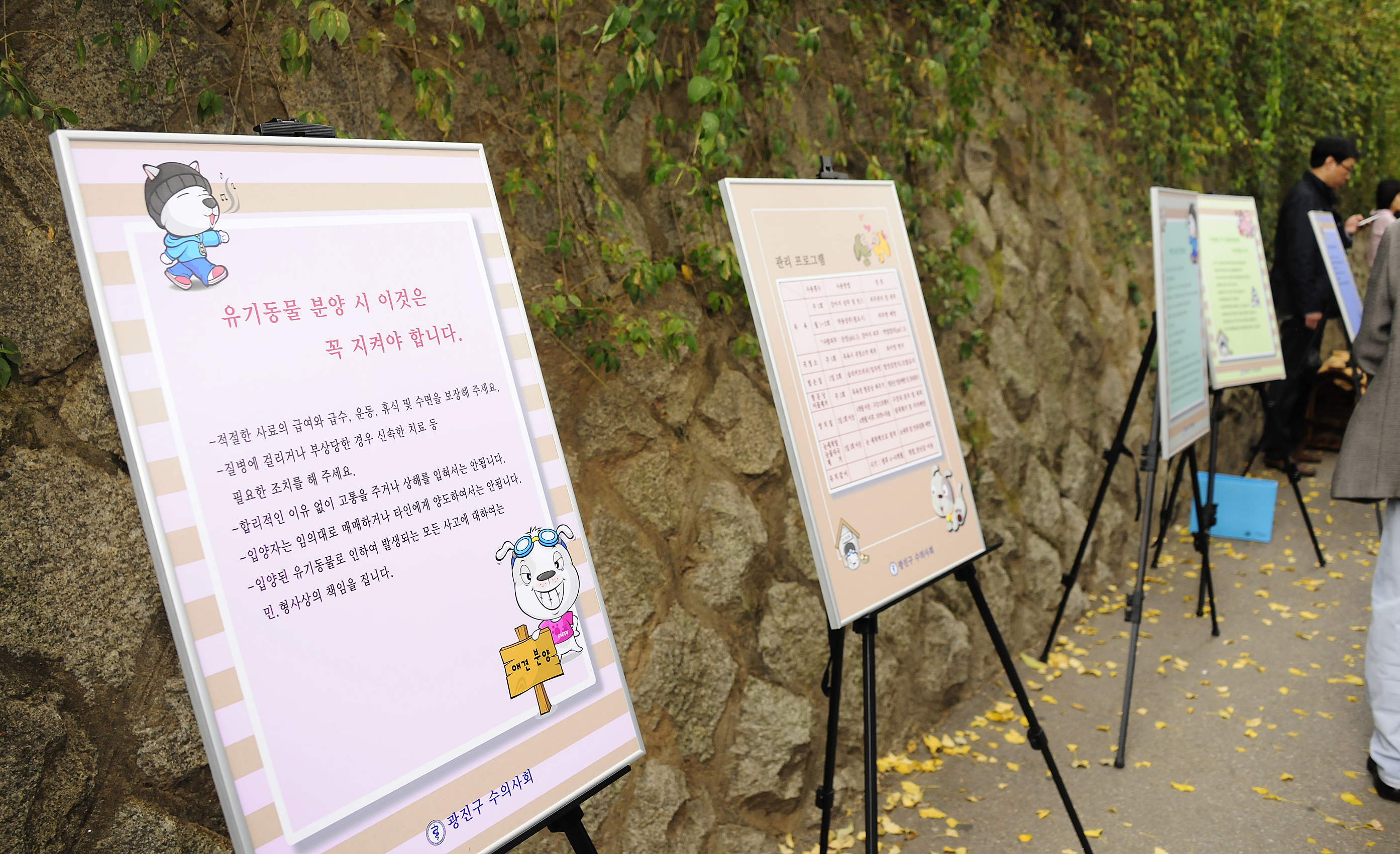 20111104-유기동물과 만남의 날 42903.JPG