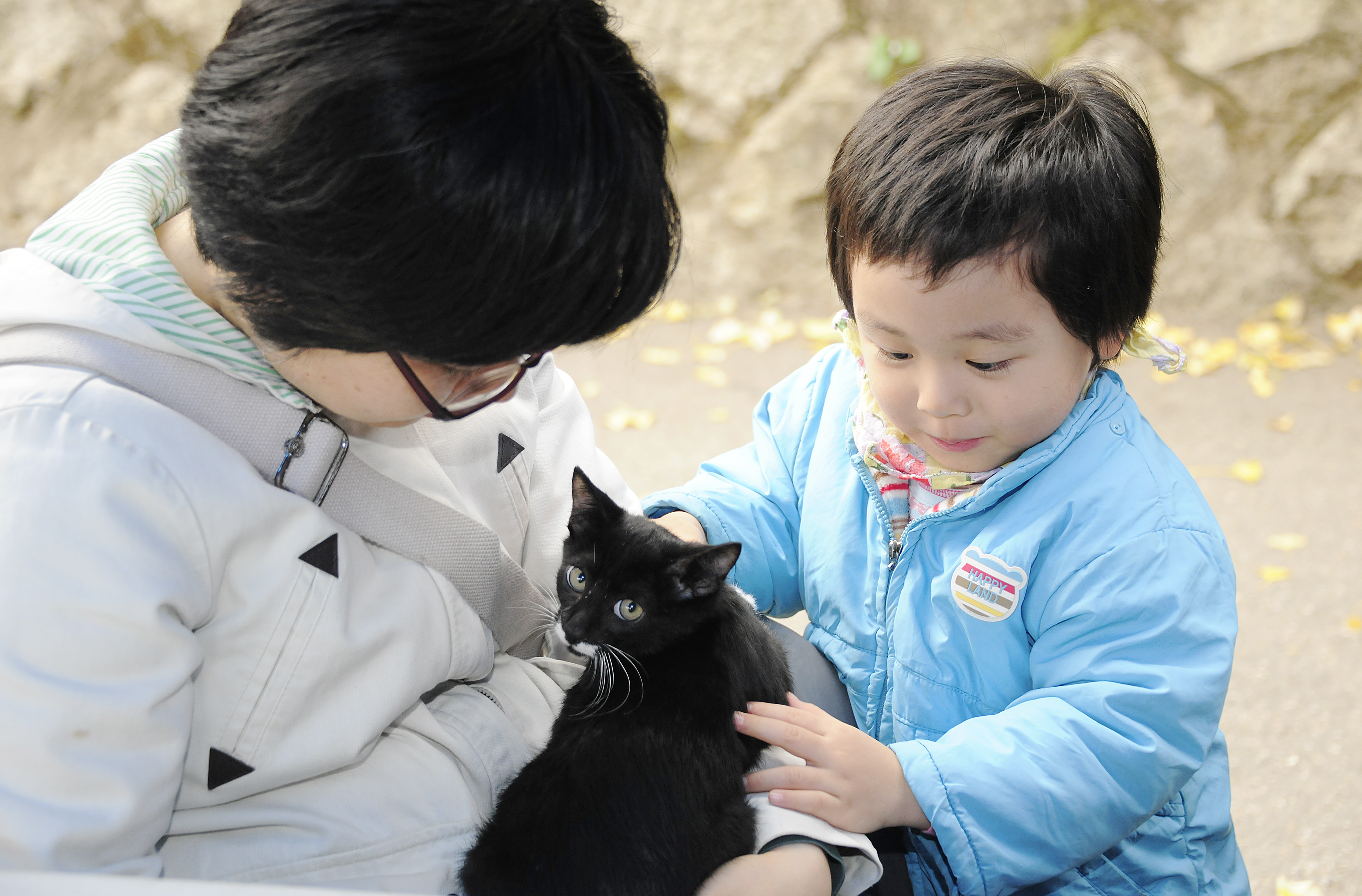 20111104-유기동물과 만남의 날 42910.JPG