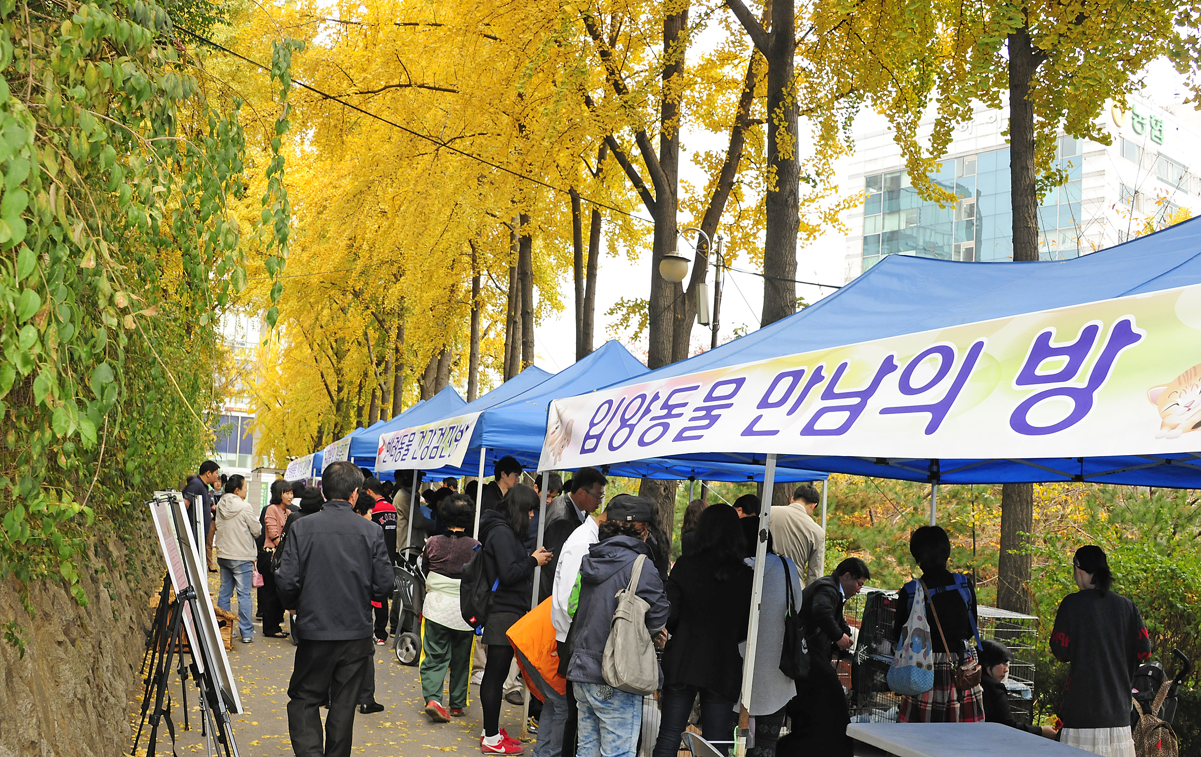 20111104-유기동물과 만남의 날 42922.JPG