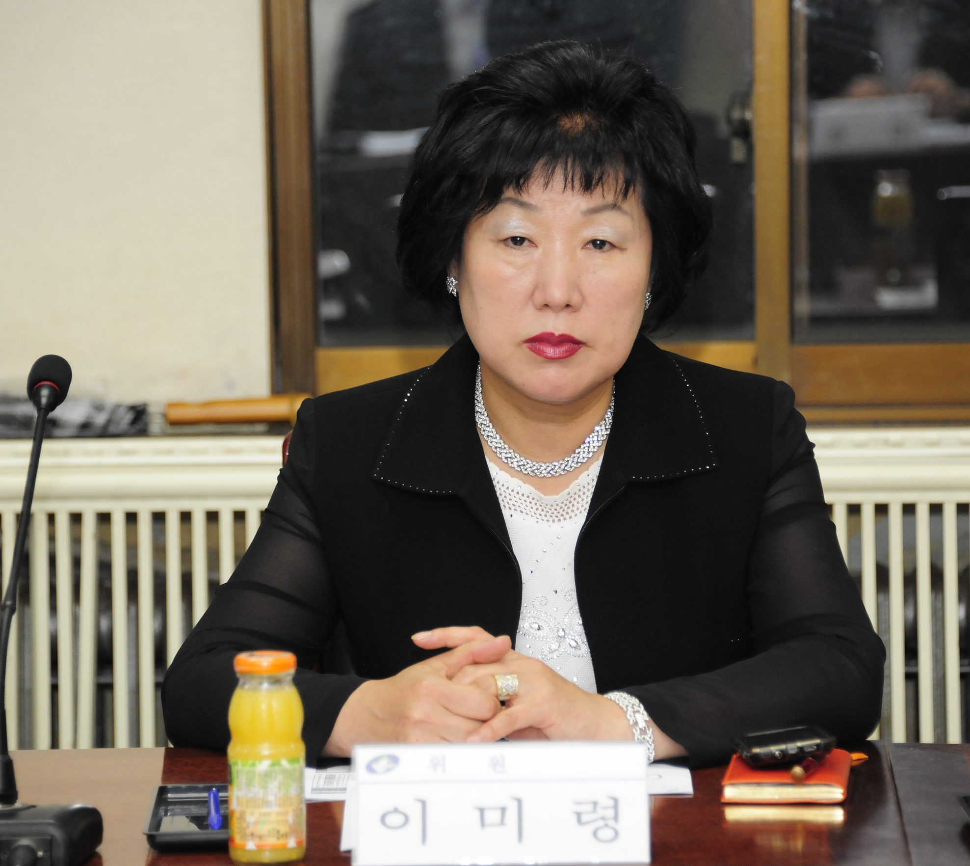 20110623-체육회 정례회의 36256.JPG