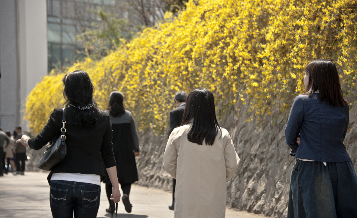 광진구청에도 봄이 왔습니다. 30087.JPG