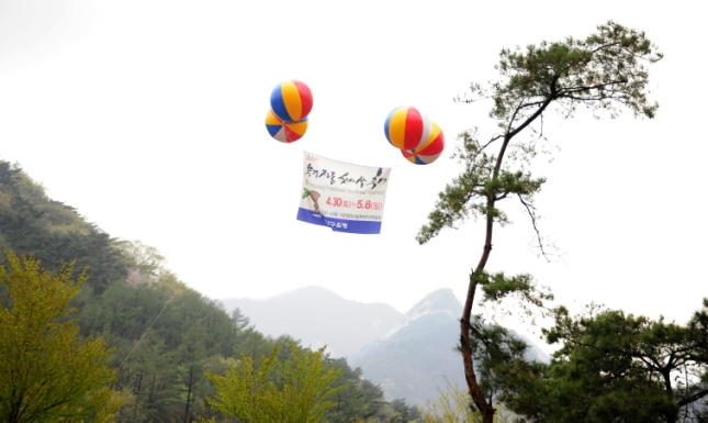 20110430-2011 문경전통찻사발축제