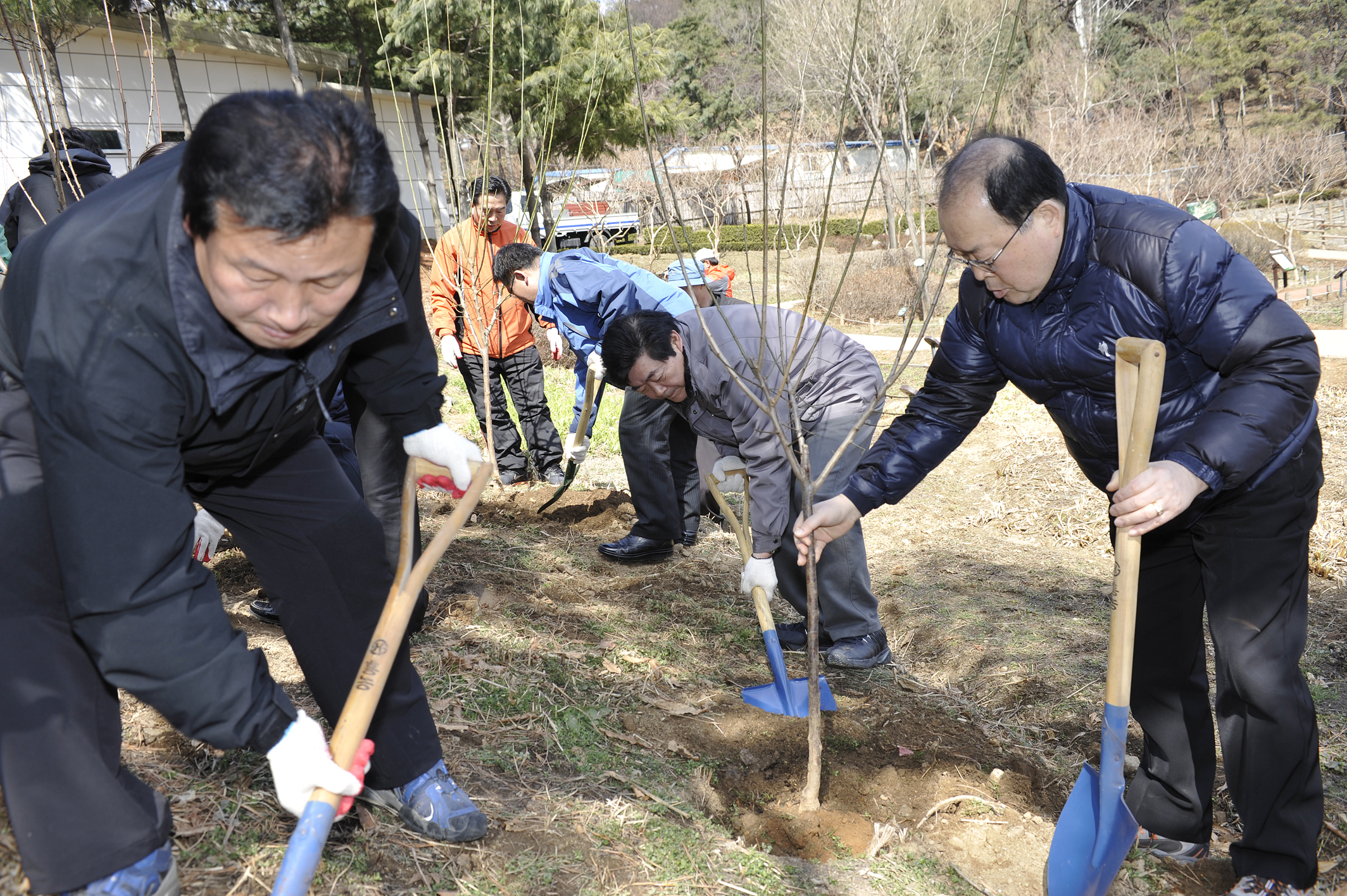 20110325-식목일 나무심기 28864.JPG