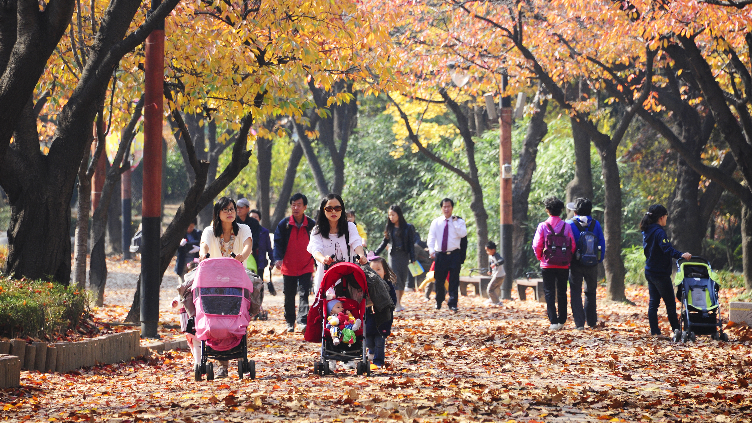 2011년11월-아차산. 어린이 대공원 가을 이미지 42934.JPG