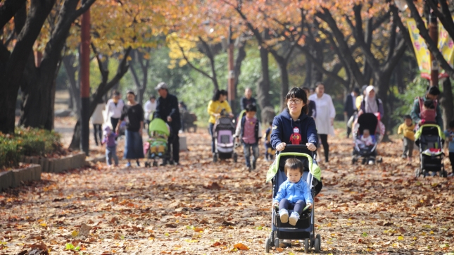 2011년11월-아차산. 어린이 대공원 가을 이미지 42935.JPG