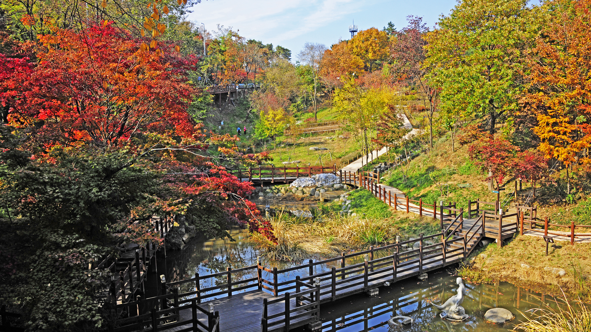 2011년11월-아차산. 어린이 대공원 가을 이미지 42944.JPG