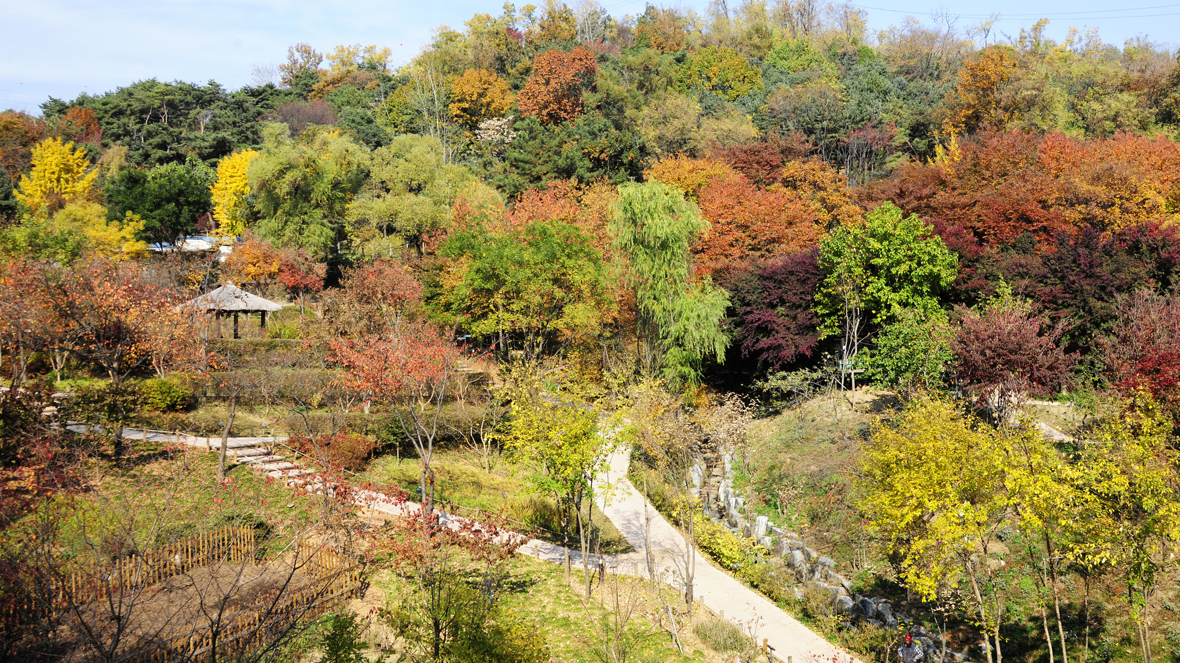 2011년11월-아차산. 어린이 대공원 가을 이미지 42955.JPG