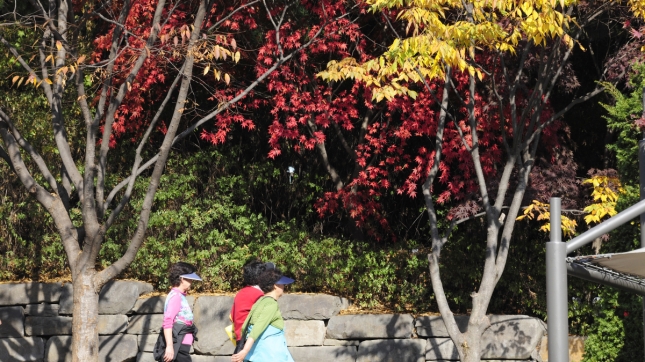 2011년11월-아차산. 어린이 대공원 가을 이미지 42956.JPG