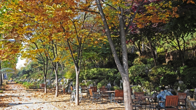 2011년11월-아차산. 어린이 대공원 가을 이미지 42927.JPG