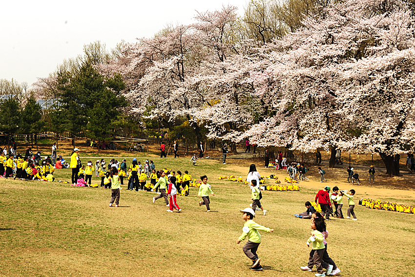 20110414-어린이 대공원에서 30537.JPG