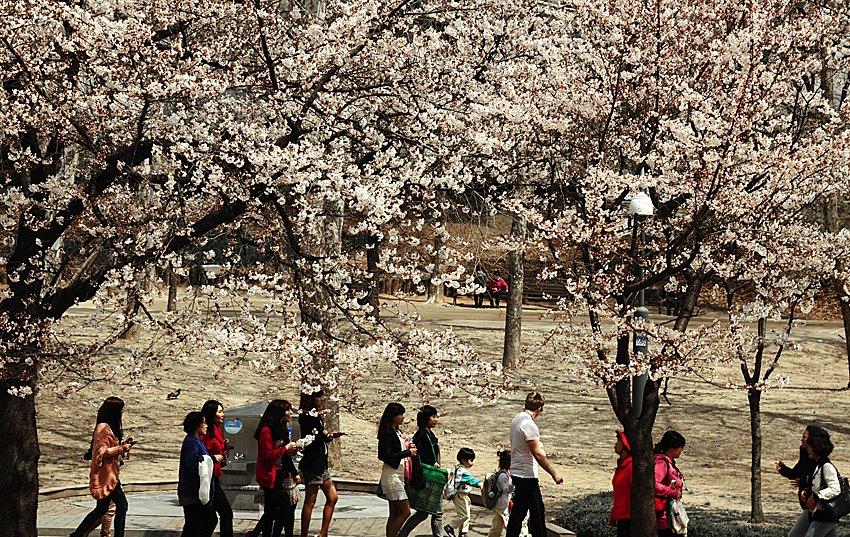 20110414-어린이 대공원에서 30538.JPG
