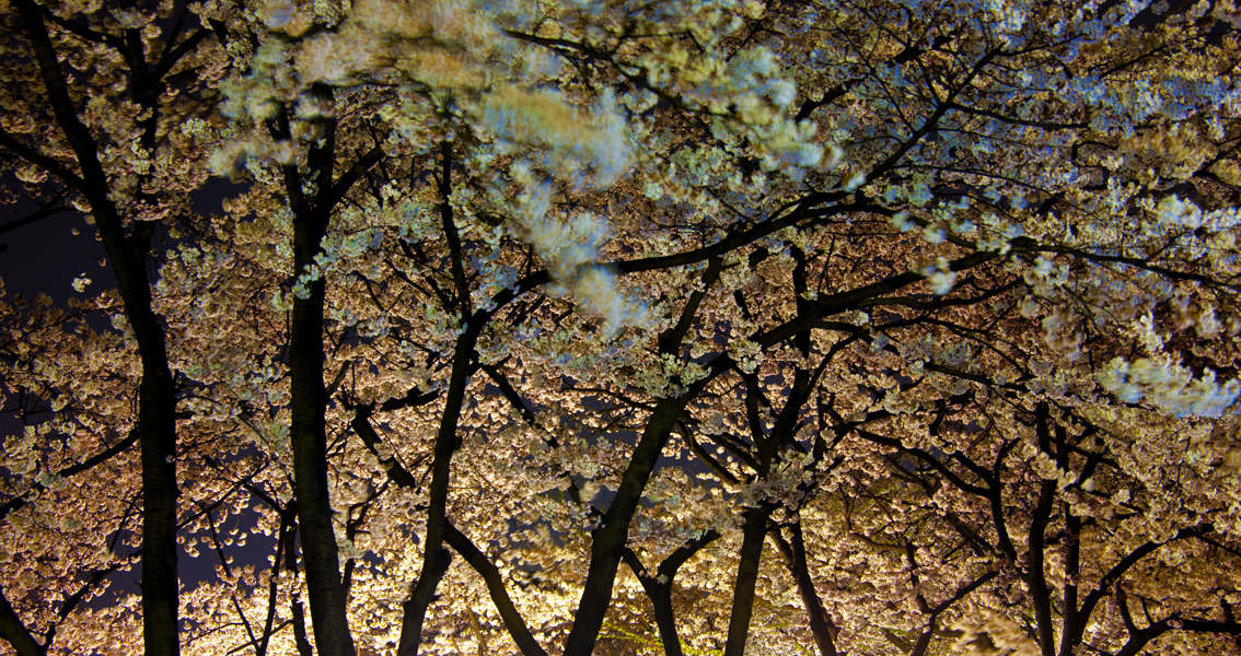 20110414-어린이 대공원에서 30543.JPG
