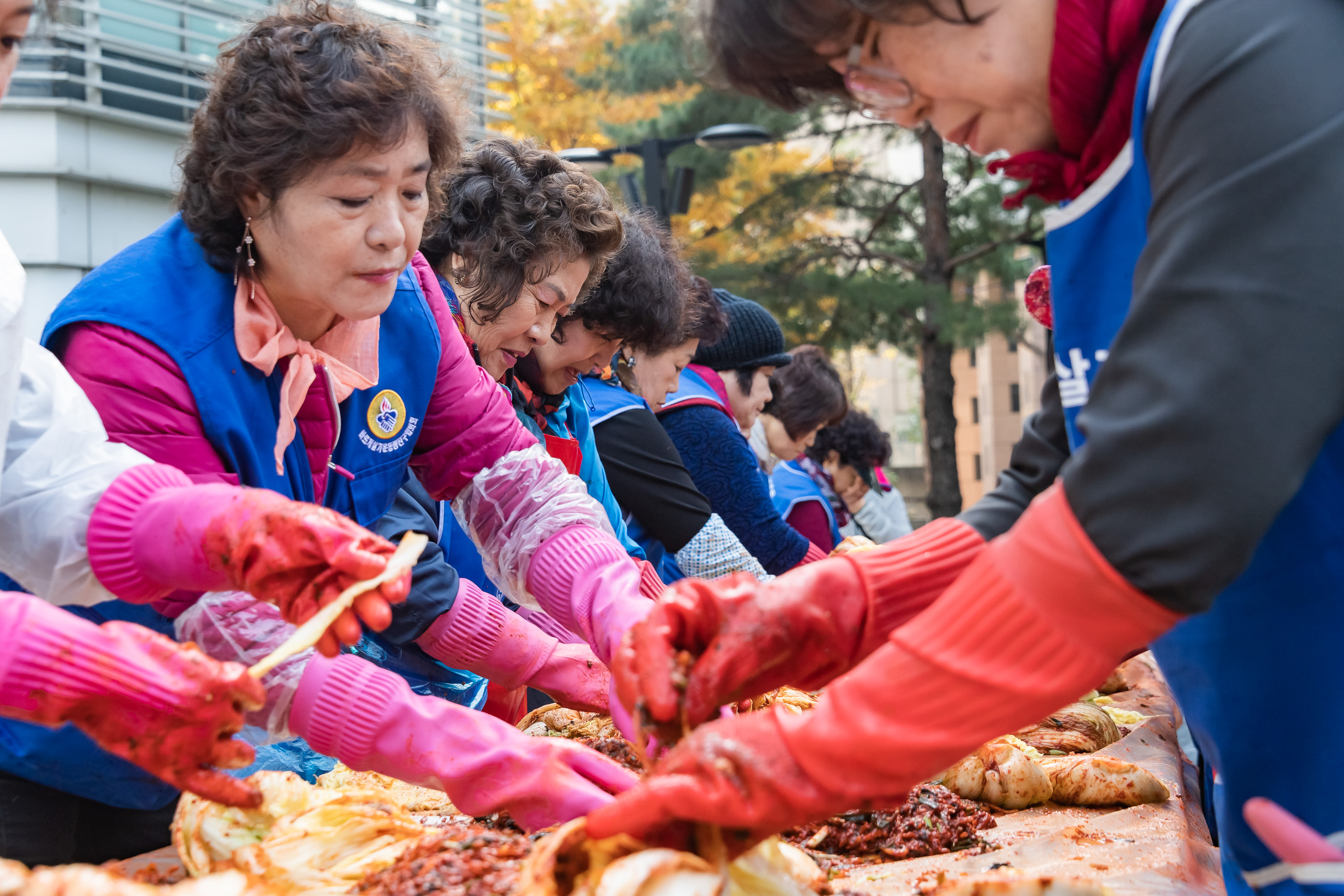 20191105-사랑의 김장 담가드리기 20191105-187381_s_145738.jpg