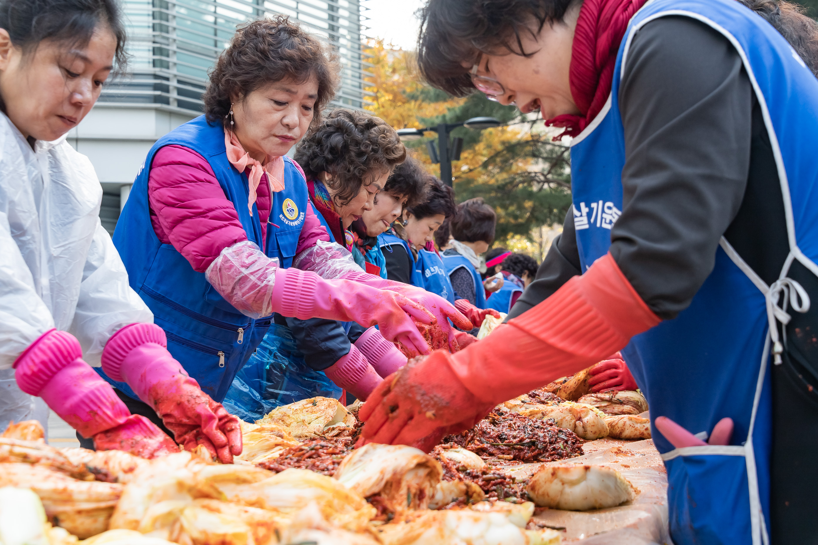 20191105-사랑의 김장 담가드리기 20191105-187386_s_145738.jpg