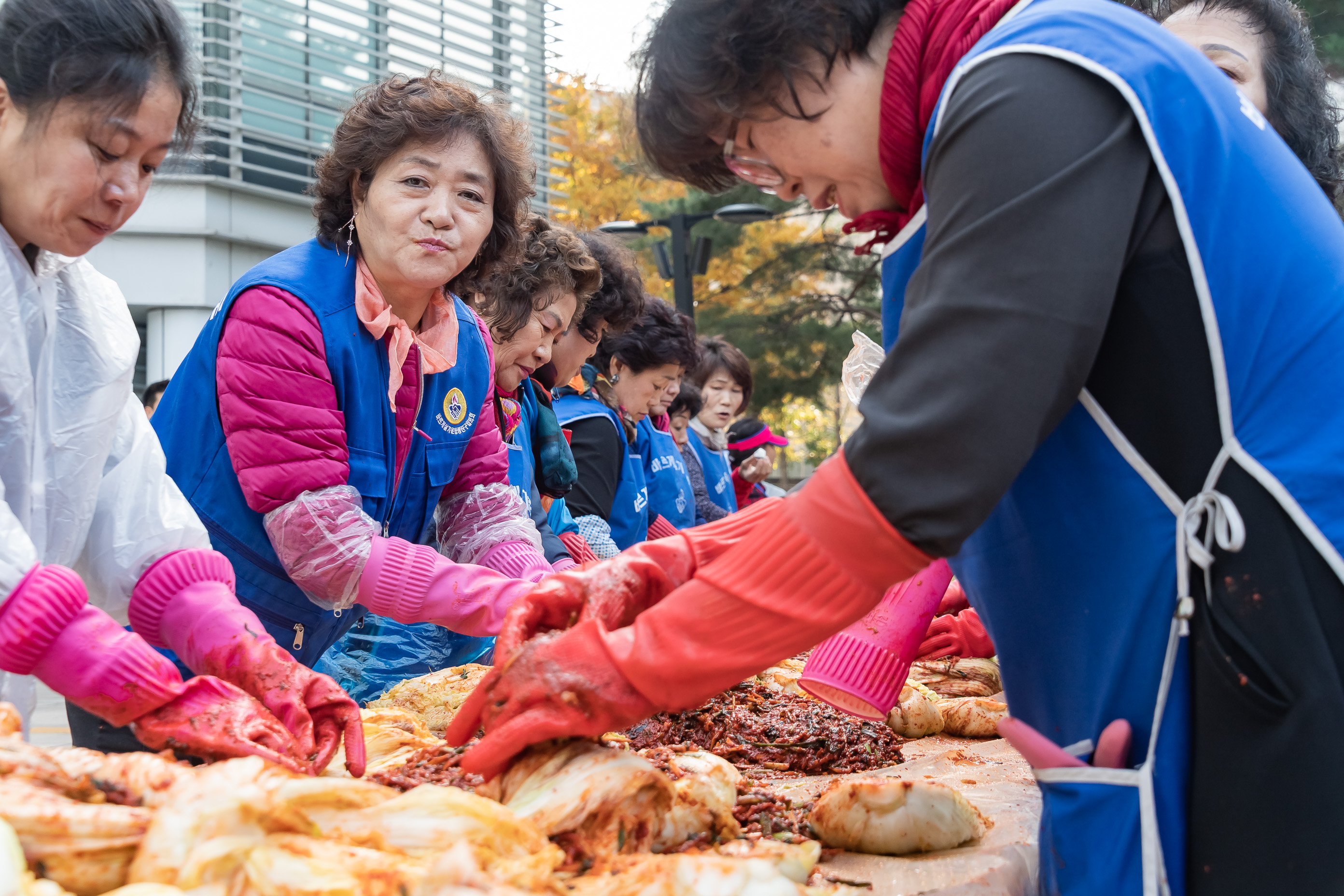 20191105-사랑의 김장 담가드리기 20191105-187390_s_145739.jpg