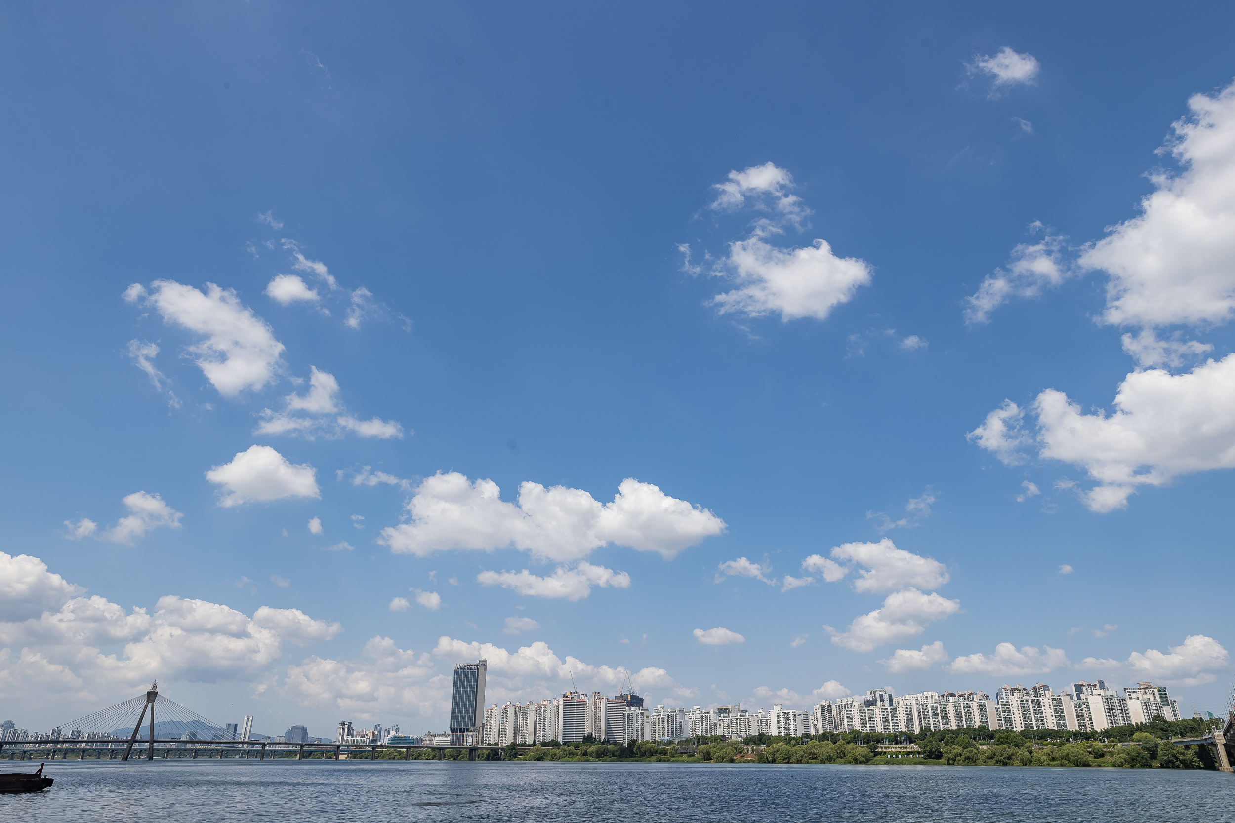 20240616-해병대 광진구지회 수질보전 활동 한강수중정화 240616_0017_G_110147.jpg