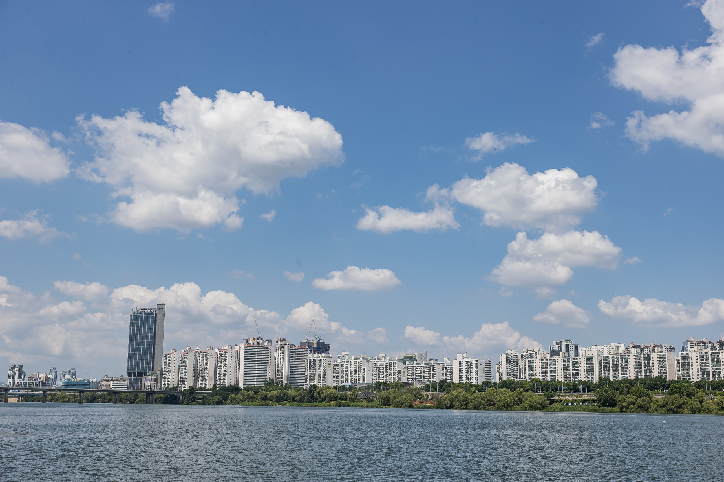 20240616-해병대 광진구지회 수질보전 활동 한강수중정화 240616_0025_G_110148.jpg
