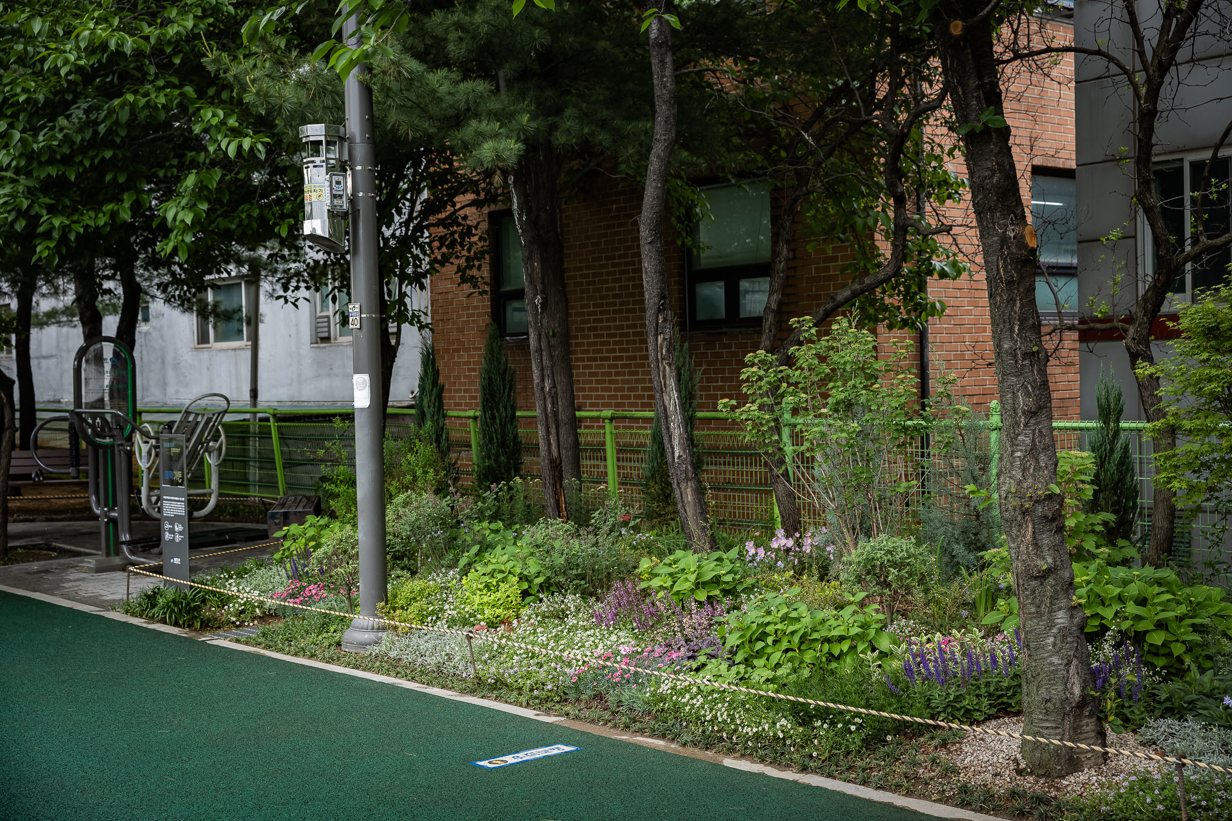 20240507-어울림 매력가든-광진 특화정원 조성 240507_0679_G_150528.jpg