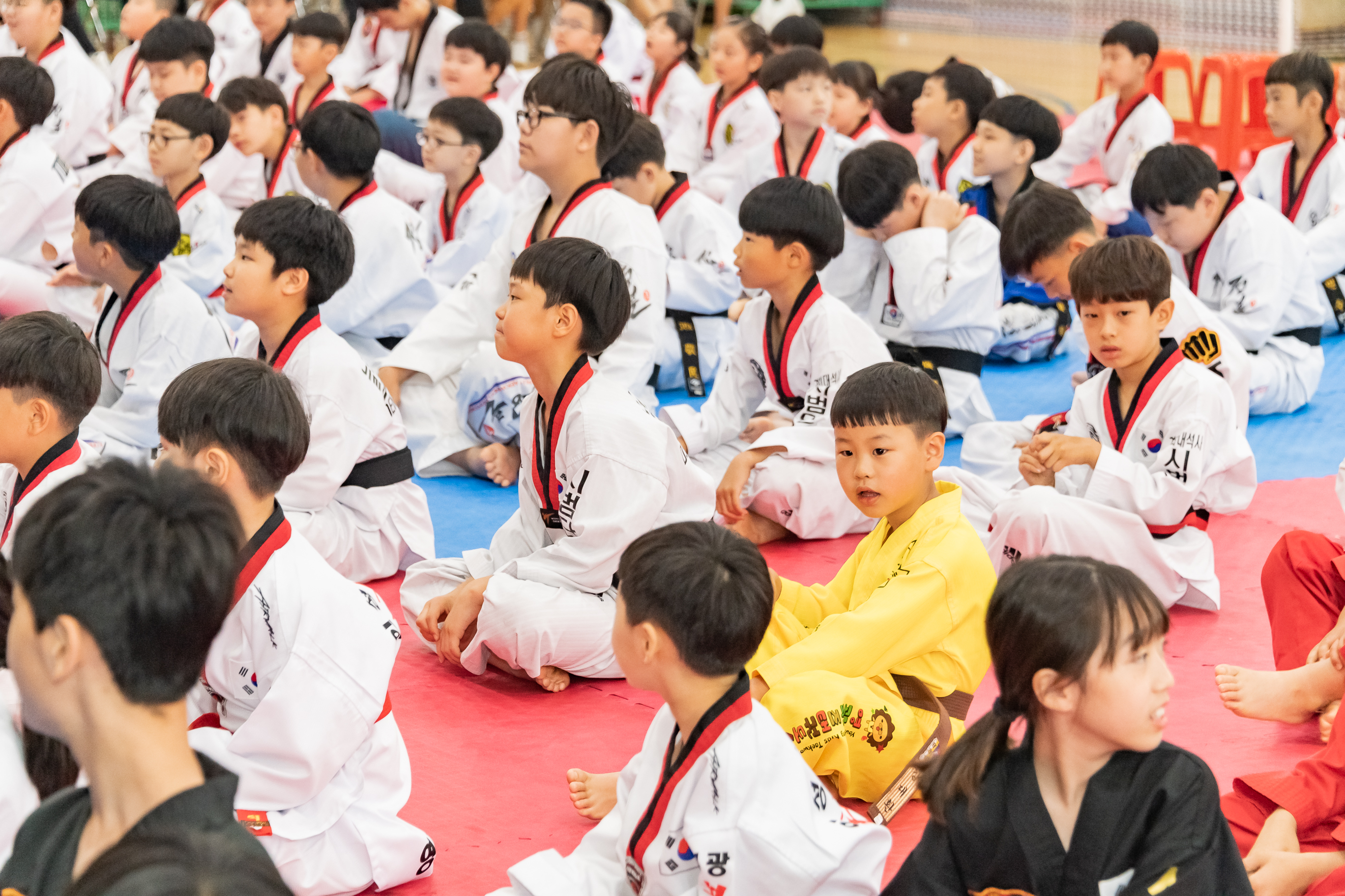 20190606-제24회 광진구청장기 태권도대회 20190606-72891_S_144037.jpg