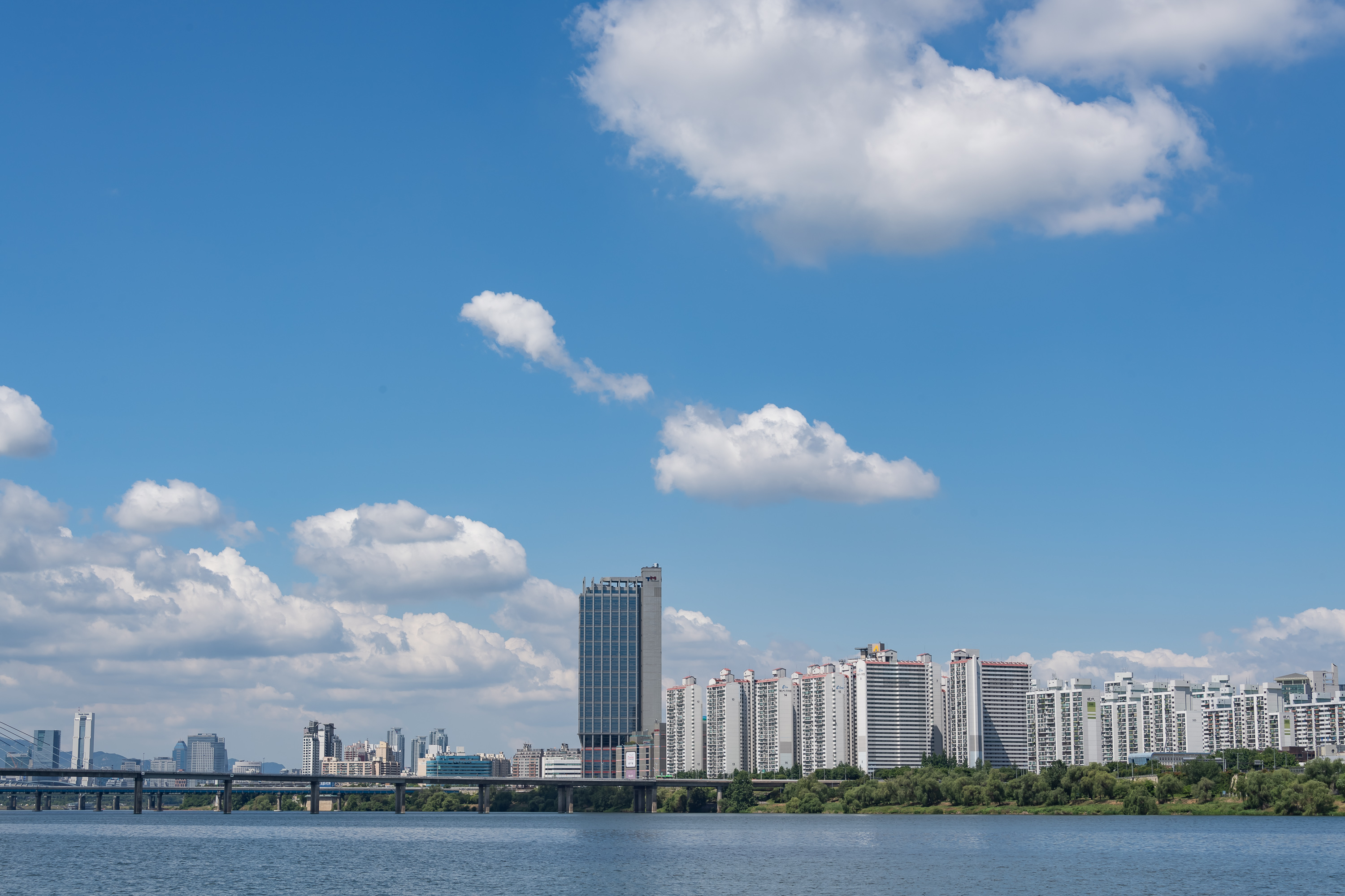 20190616-상반기 한강수중정화 행사 20190616-80053_S_134856.jpg