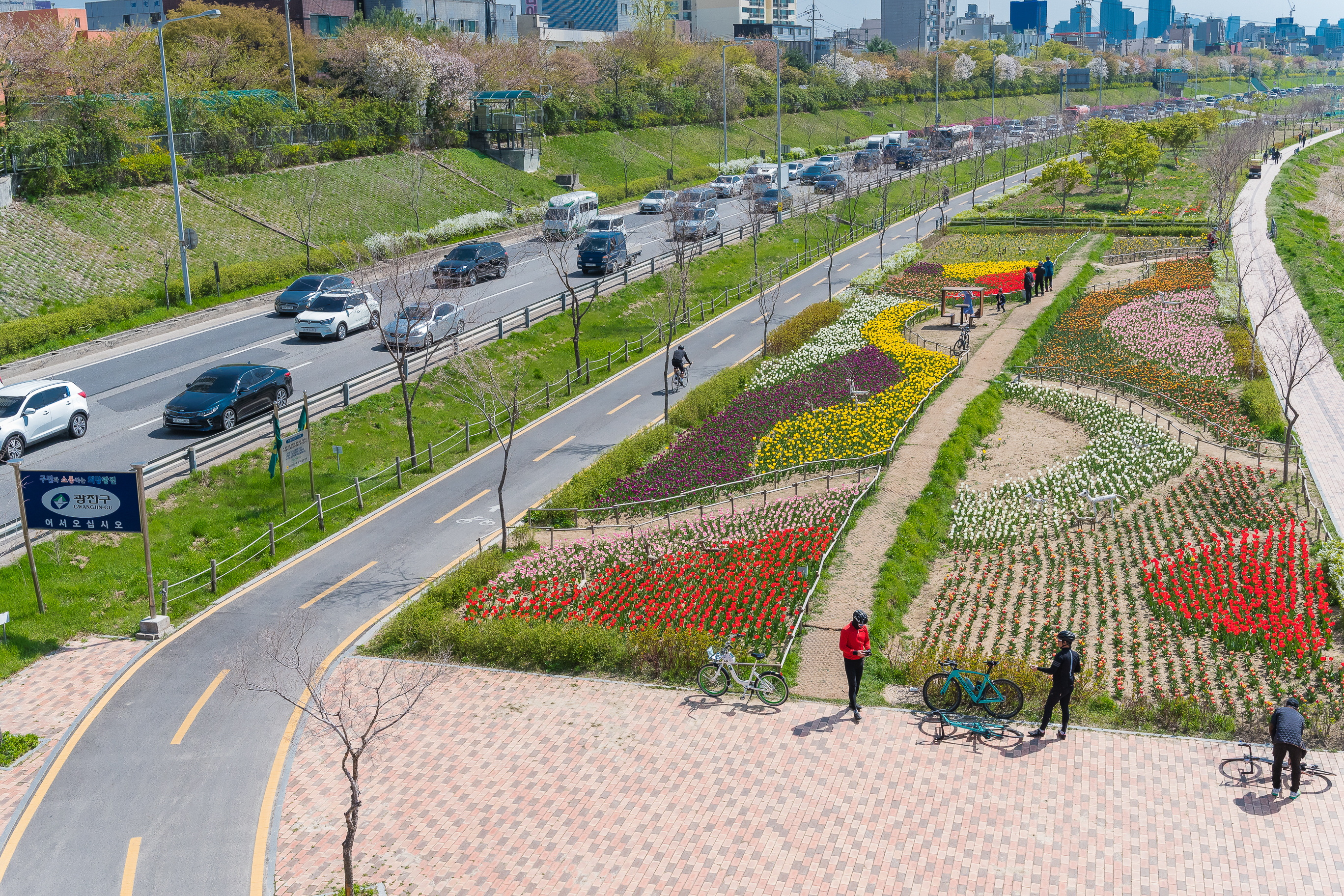 20190415-광진구 중랑천 봄꽃 20190415-20786_M2_S_195254.jpg