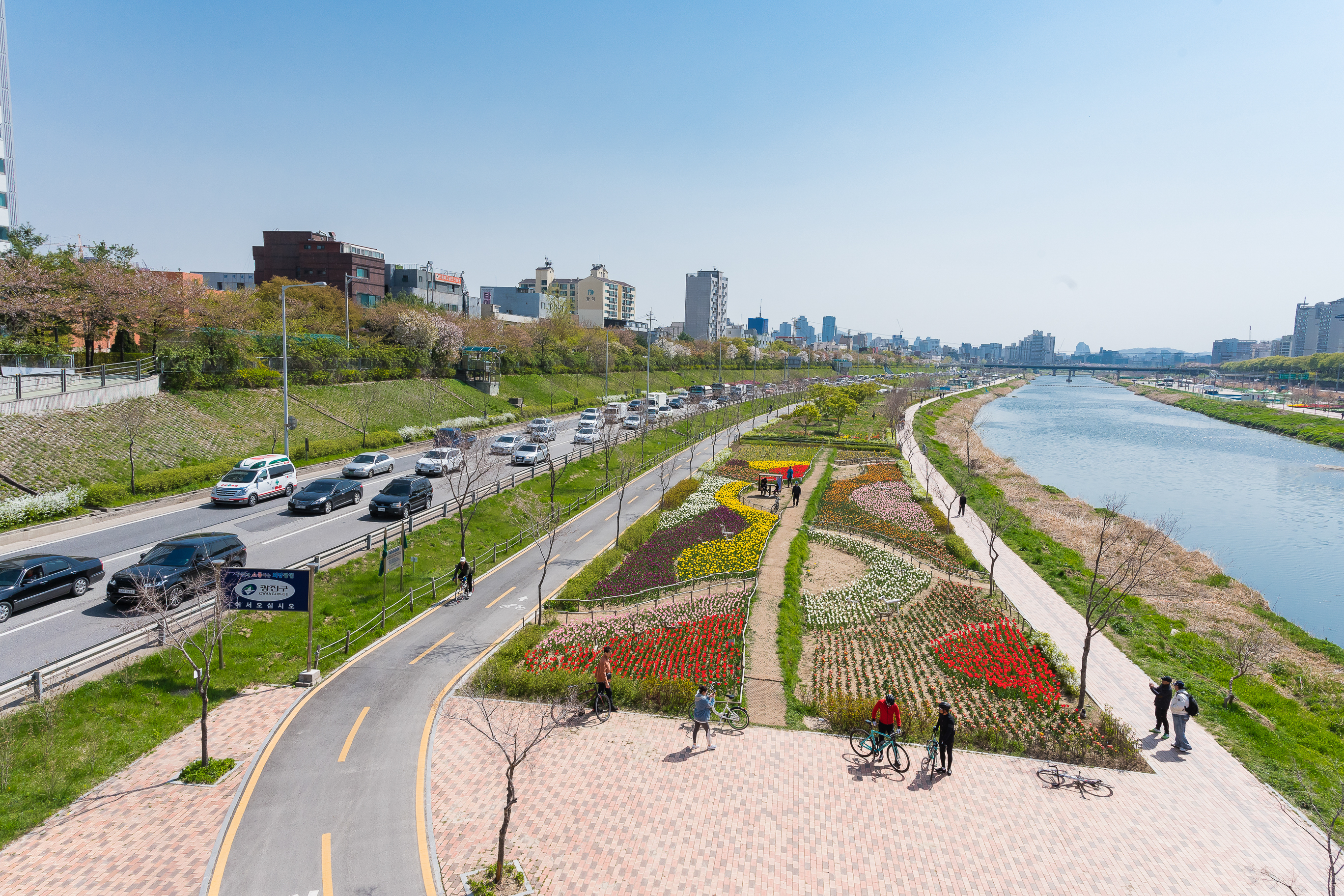 20190415-광진구 중랑천 봄꽃 20190415-20795_M2_S_195256.jpg