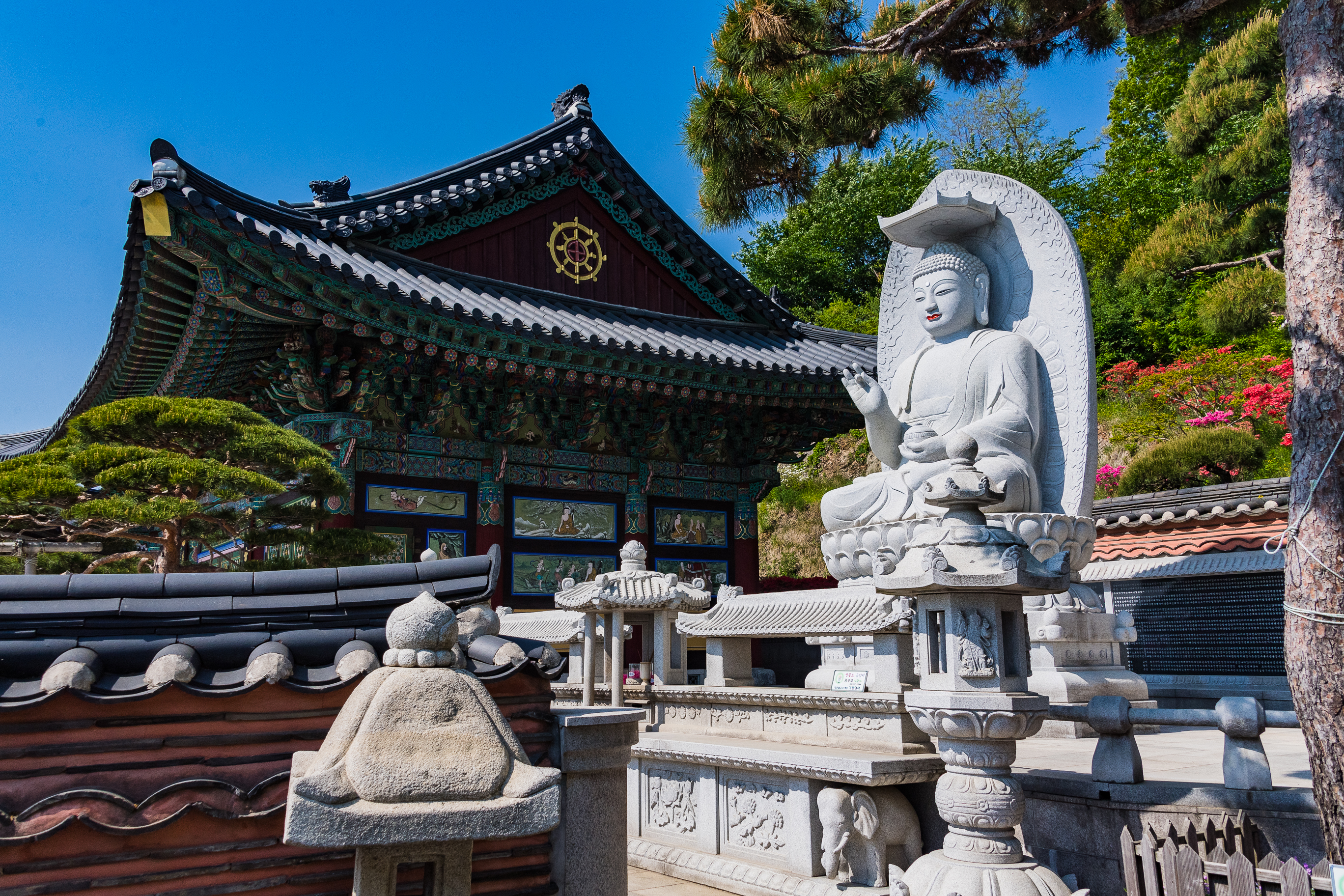 20190509-부처님 오신 날 봉축 및 주지스님 방문 인사-기원정사(자광), 용암사(관오) 20190509-42144_S_130142.jpg