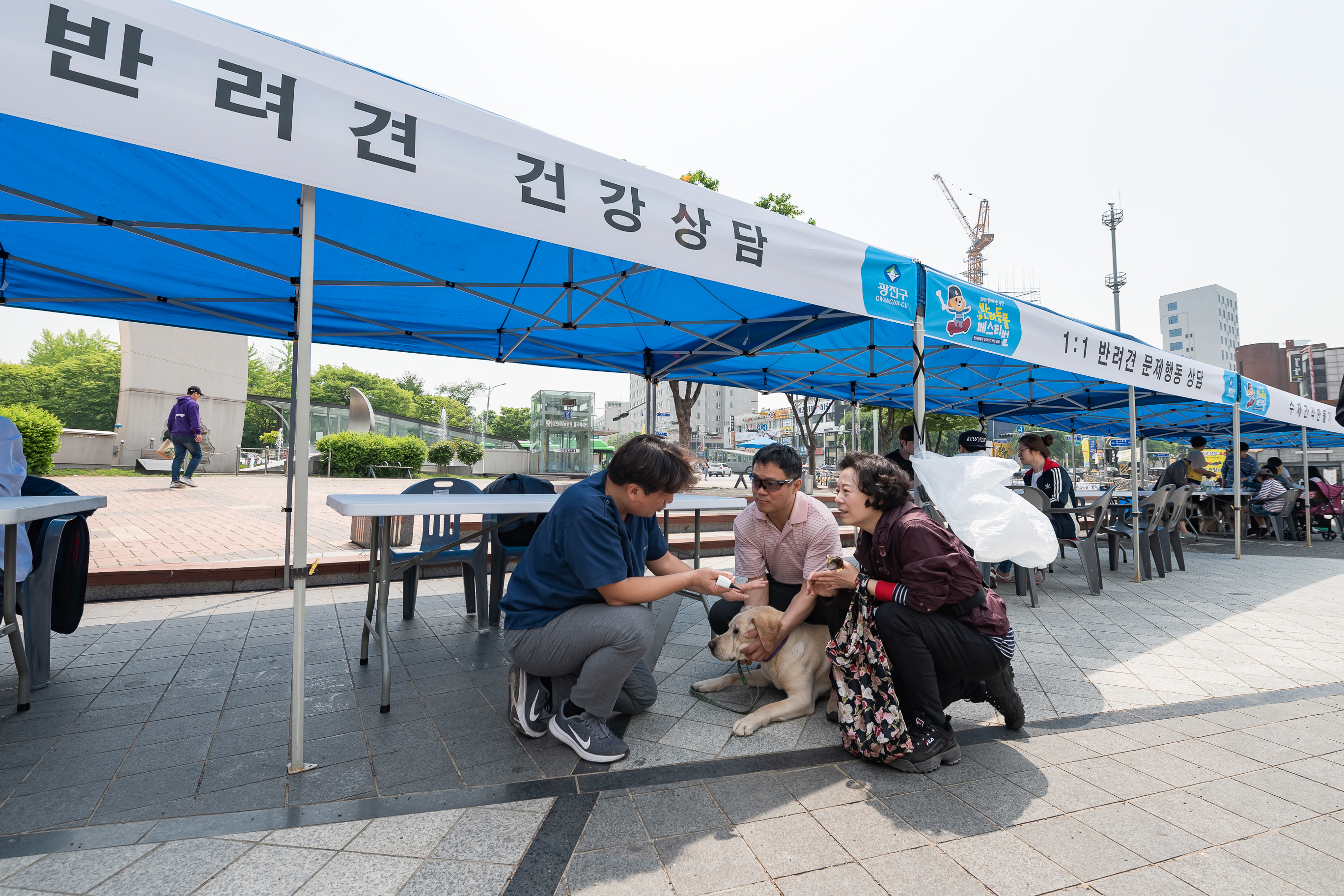 20190504-2019 반려동물 페스티벌 20190504-31363_S_182611.jpg