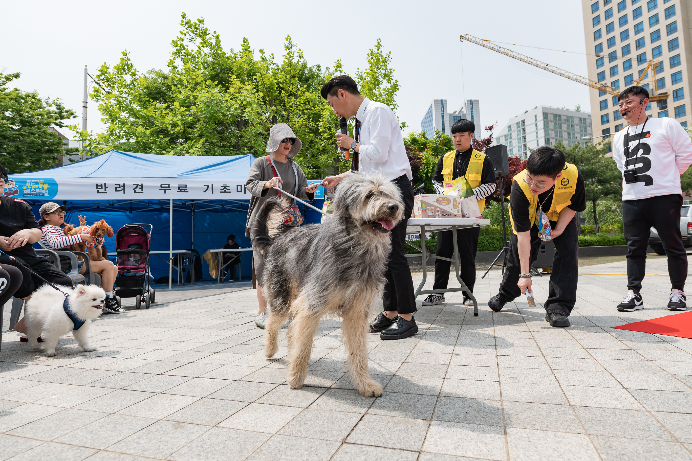 20190504-2019 반려동물 페스티벌 20190504-31471_S_182613.jpg