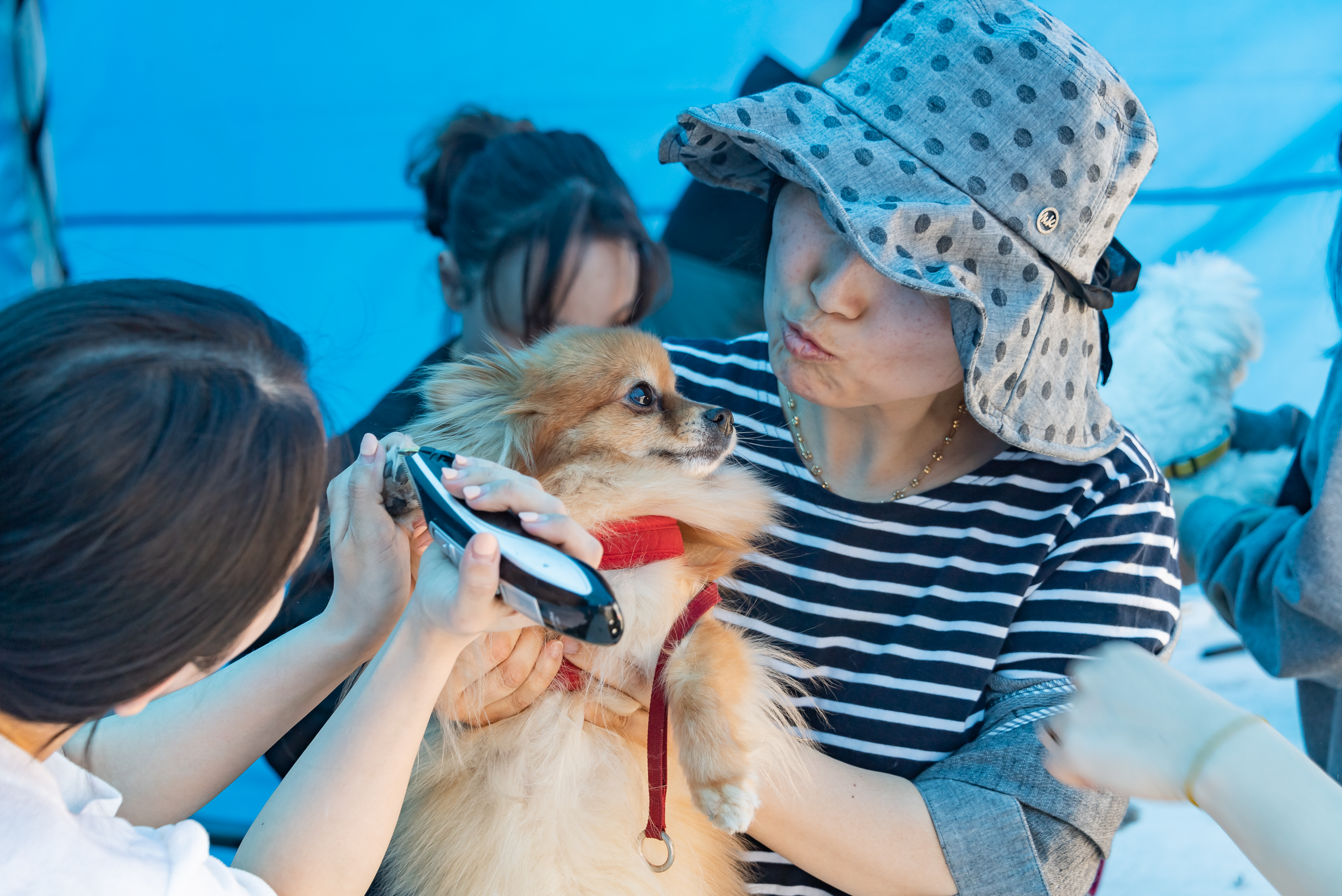 20190504-2019 반려동물 페스티벌 20190504-31813_S_182618.jpg