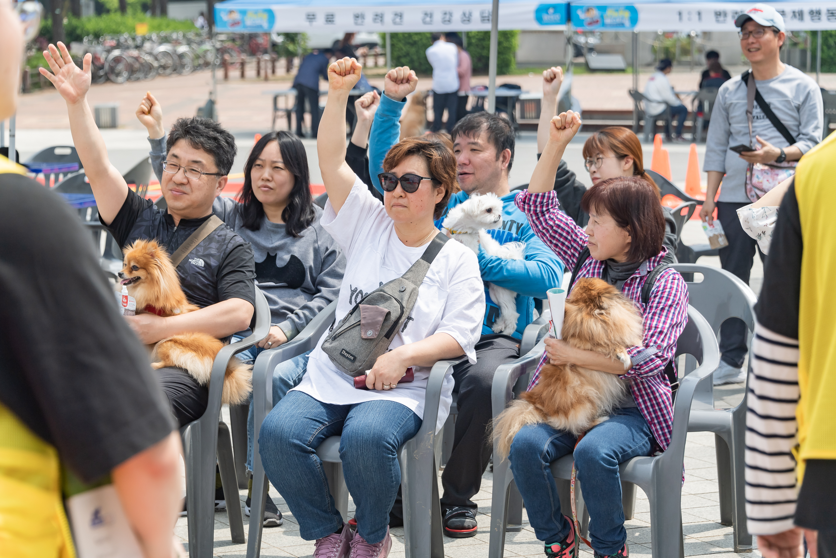 20190504-2019 반려동물 페스티벌 20190504-31889_S_182620.jpg