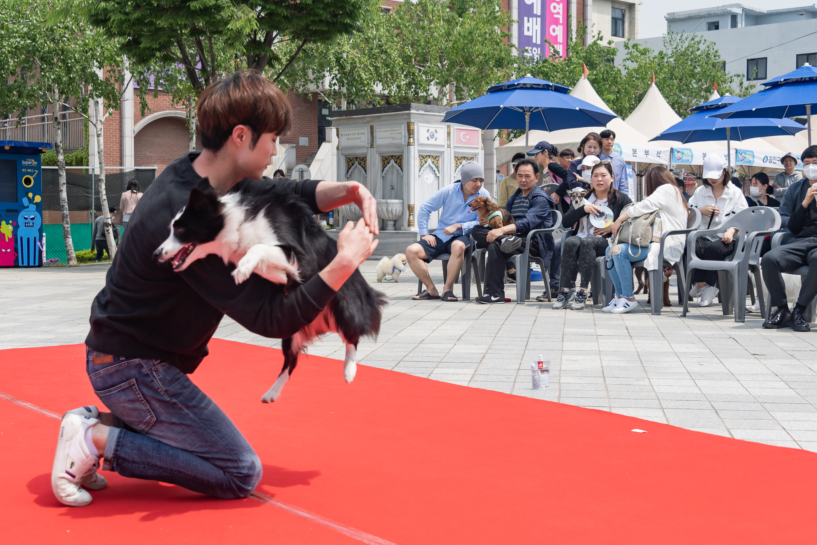 20190504-2019 반려동물 페스티벌 20190504-32049_S_182623.jpg