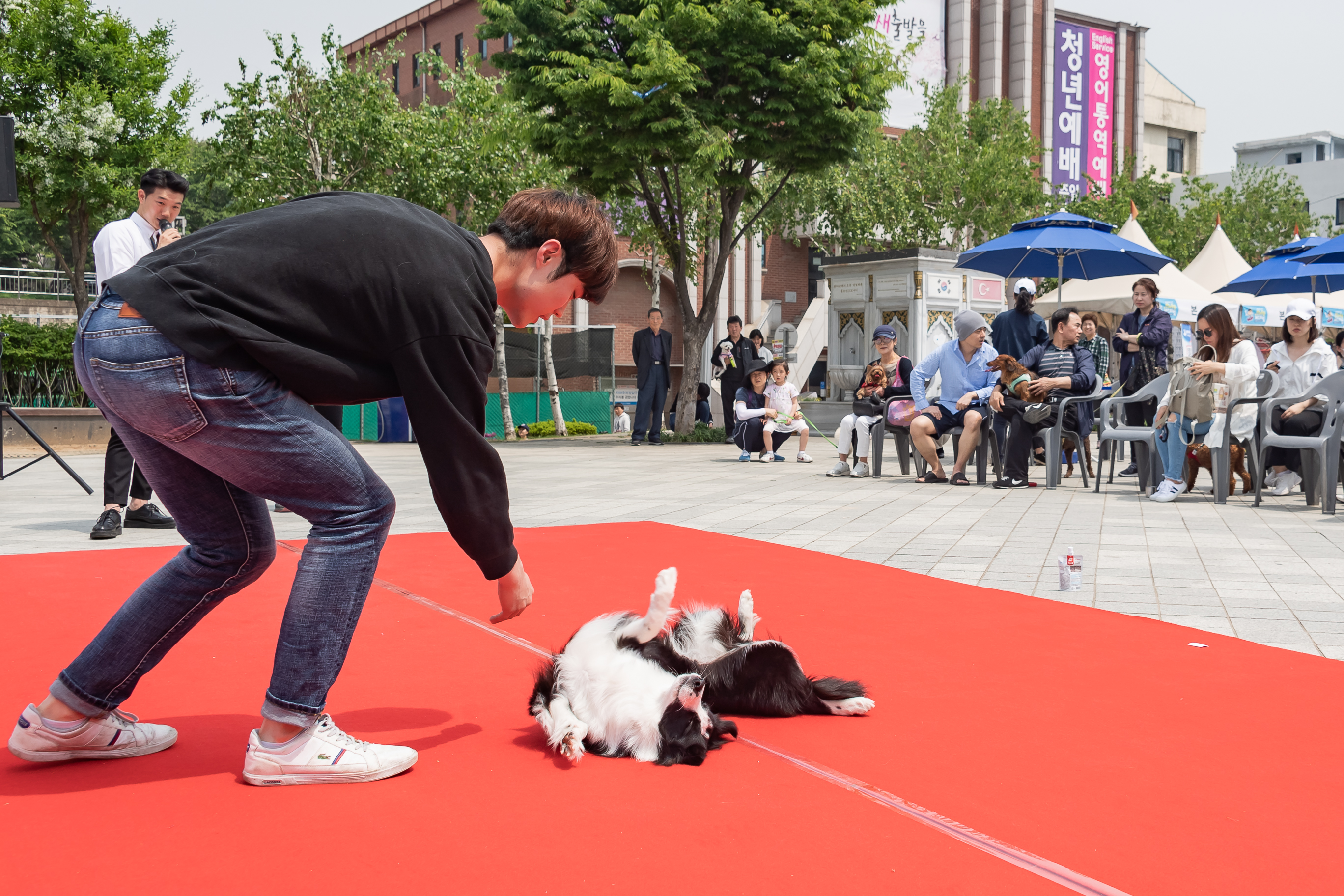 20190504-2019 반려동물 페스티벌 20190504-32090_S_182624.jpg