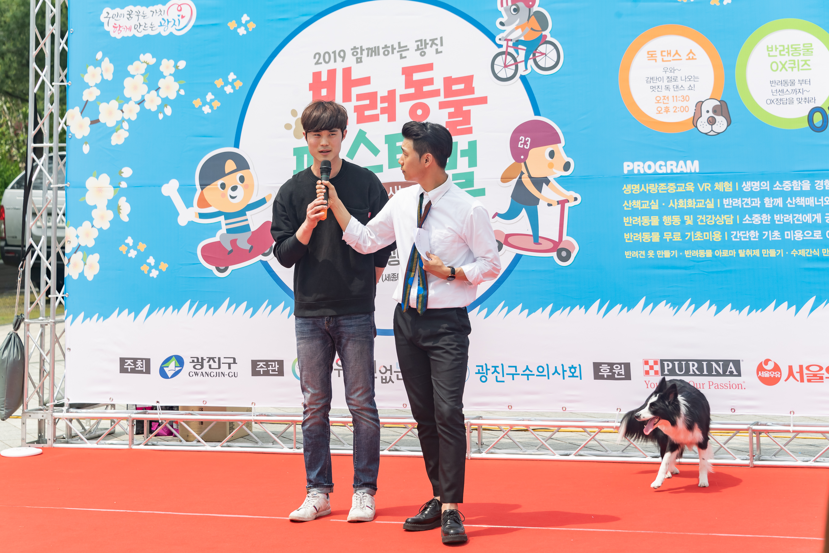 20190504-2019 반려동물 페스티벌 20190504-32118_S_182624.jpg