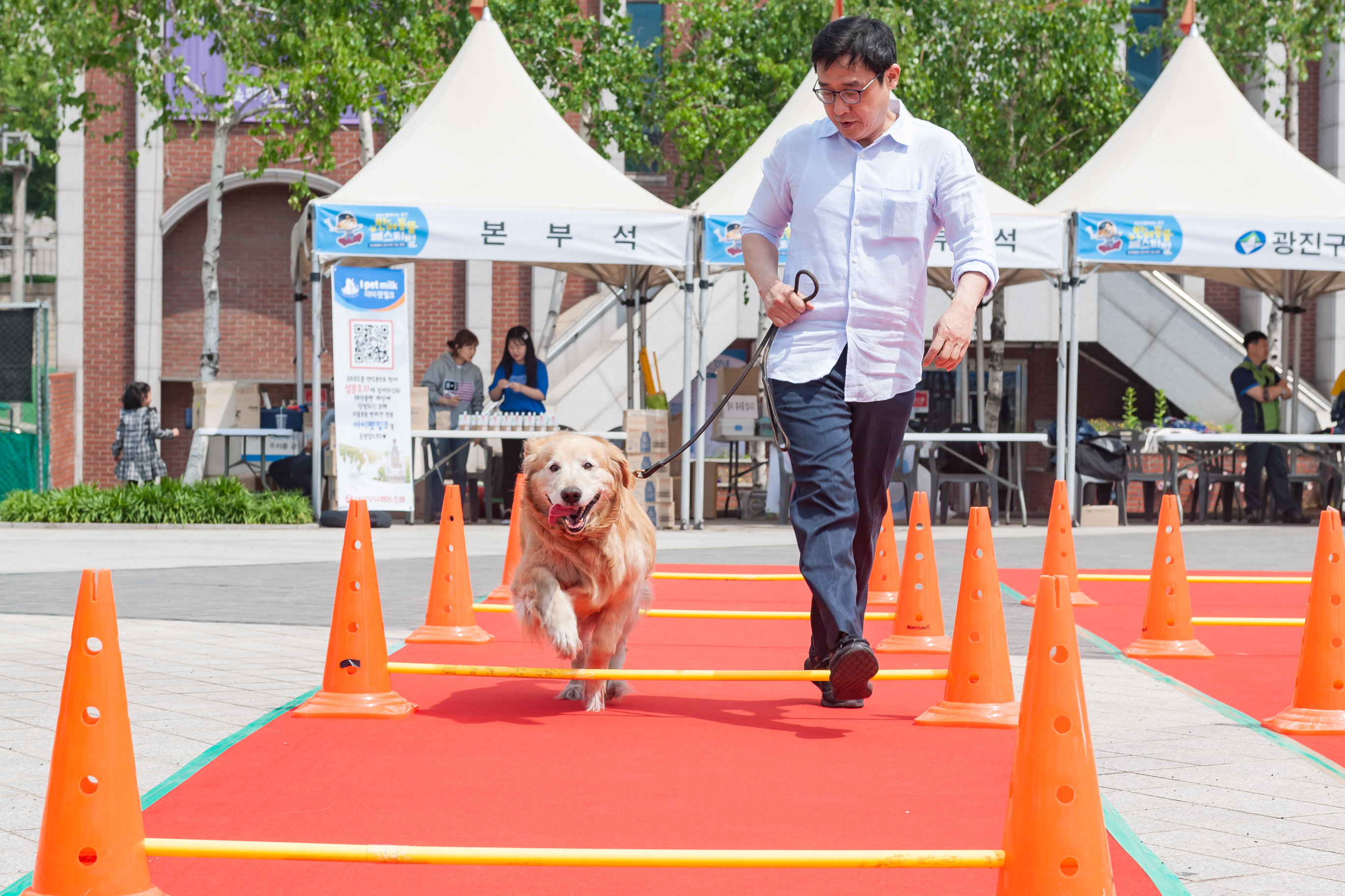 20190504-2019 반려동물 페스티벌 20190504-32300_S_182626.jpg